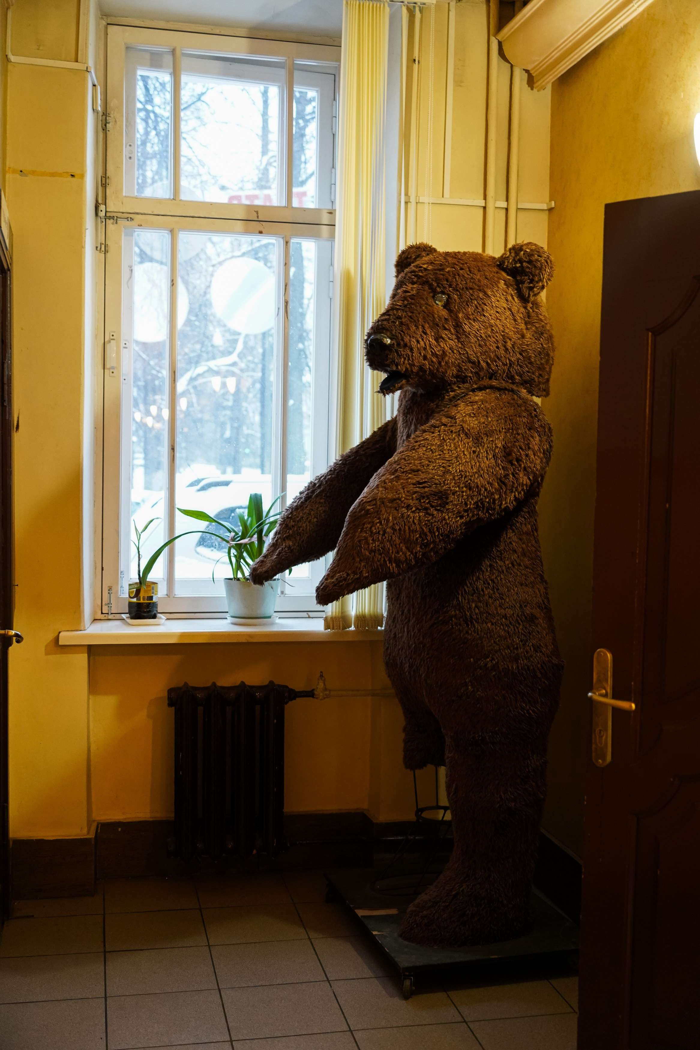 Экскурсия по театру им. Волкова. Спортивный и репортажный фотограф в Иваново Сергей Силкин