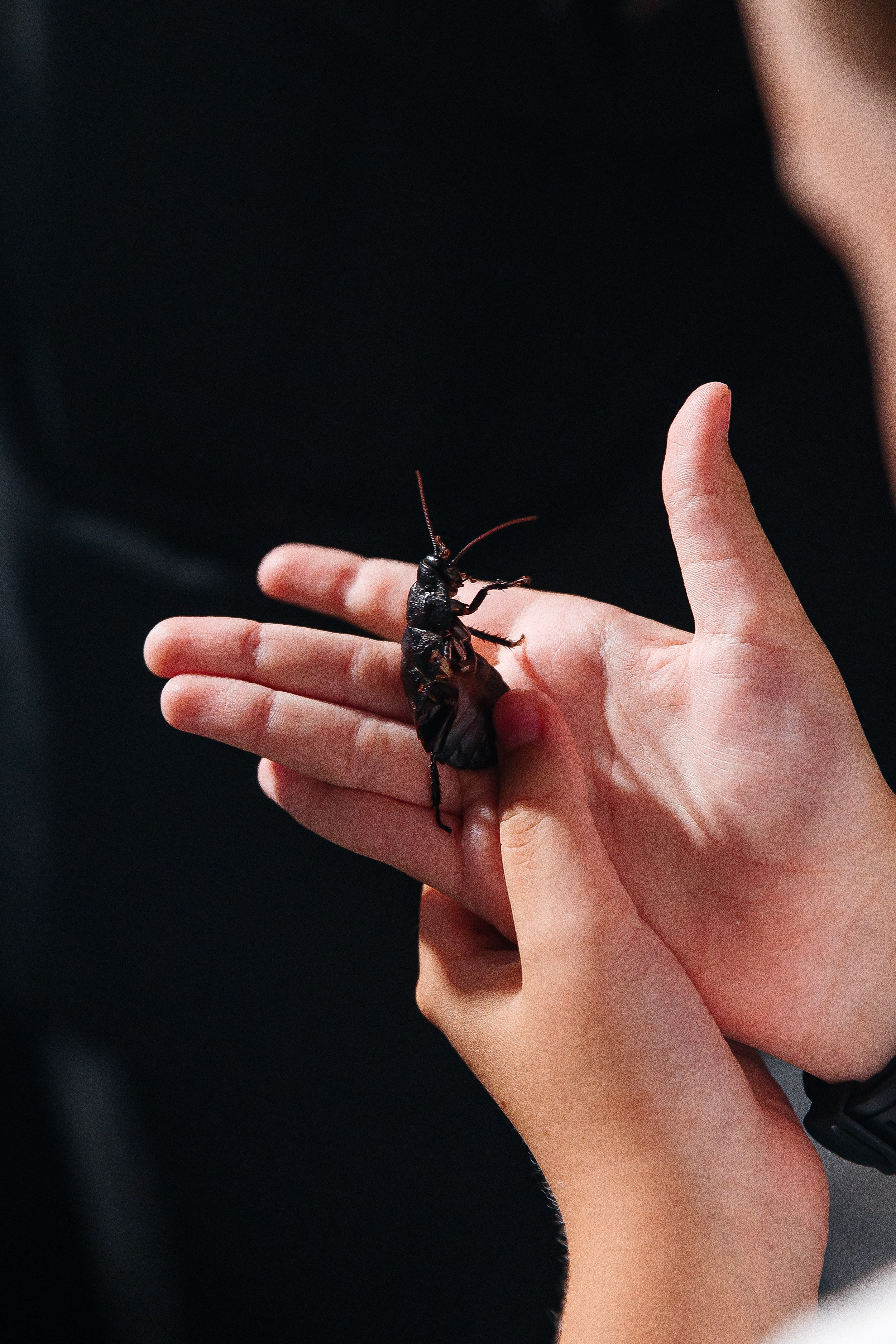 YUNONA & KONSTANTIN. Свадебный фотограф | Екатеринбург | Сочи | Артем Шестаков