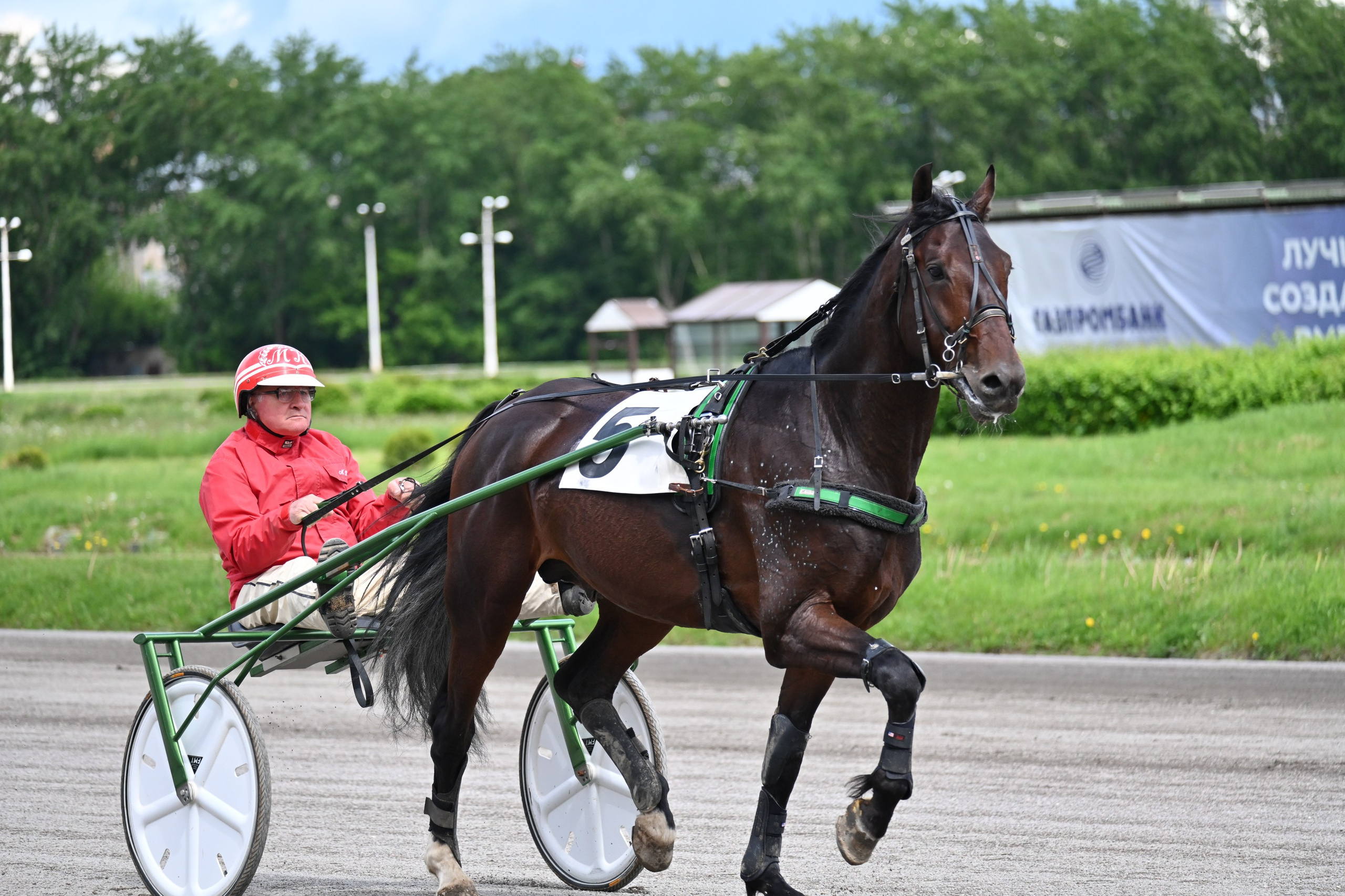 Московский ипподром. Fotolux