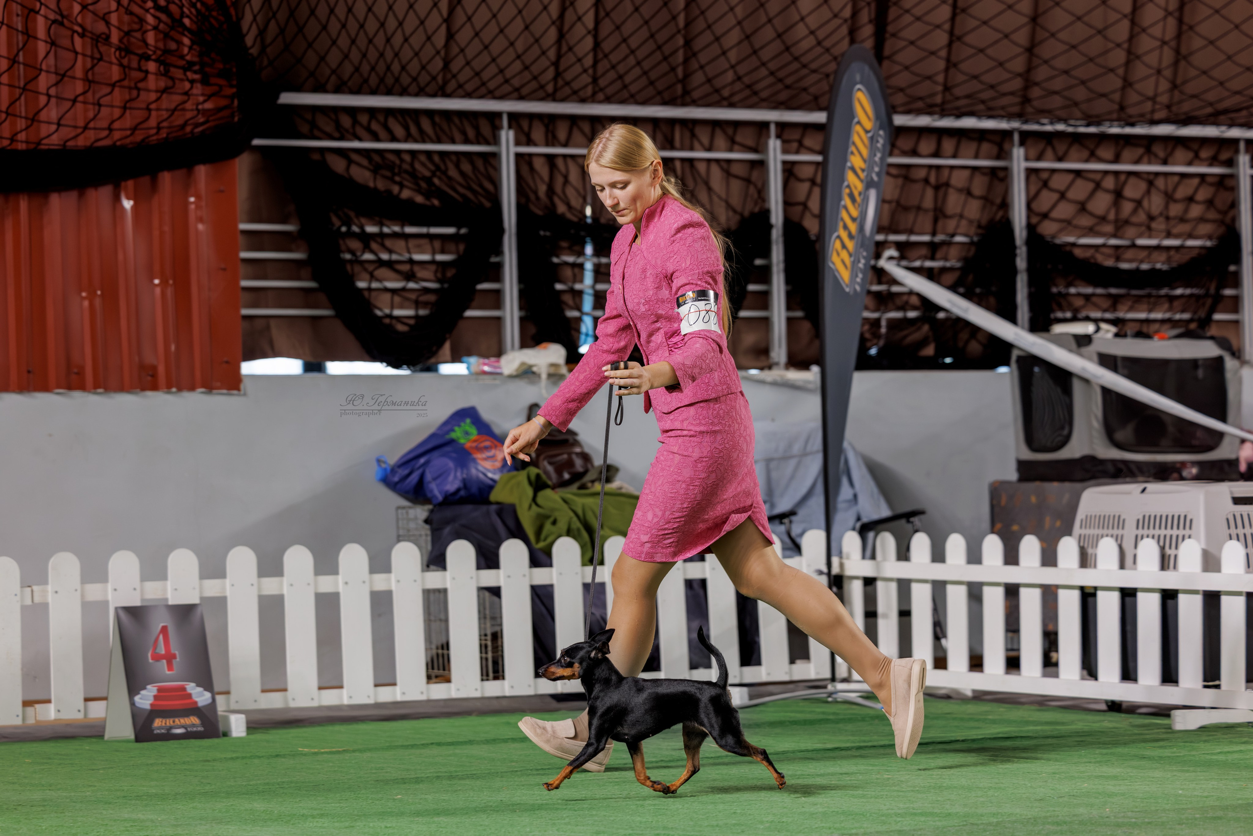 Телави 11-12.10.2025. Фотограф-анималист Юлия Германика