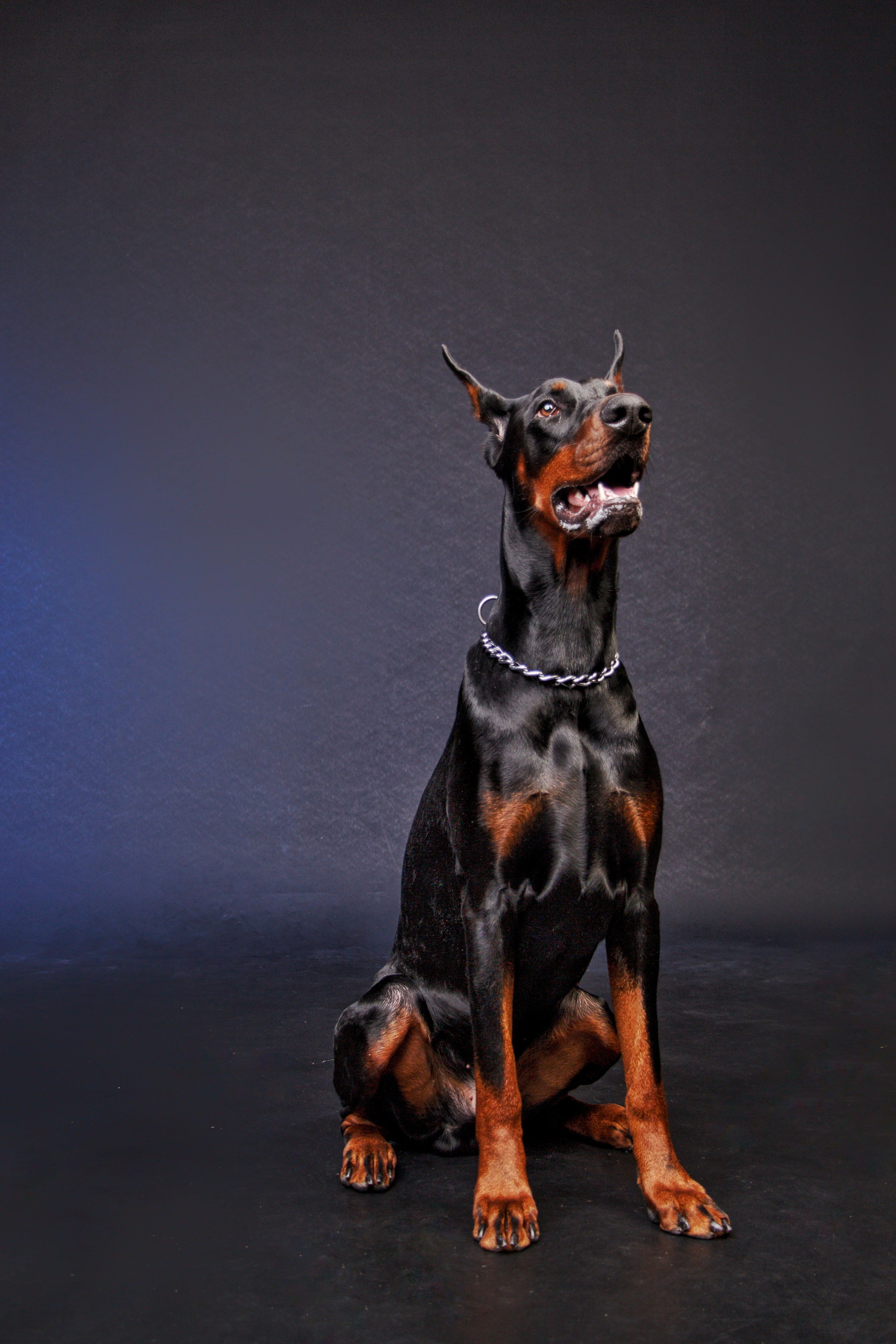 Марина и Нейт…. Творческая, семейная Фотосъемка ДоброДарова Елена Омск