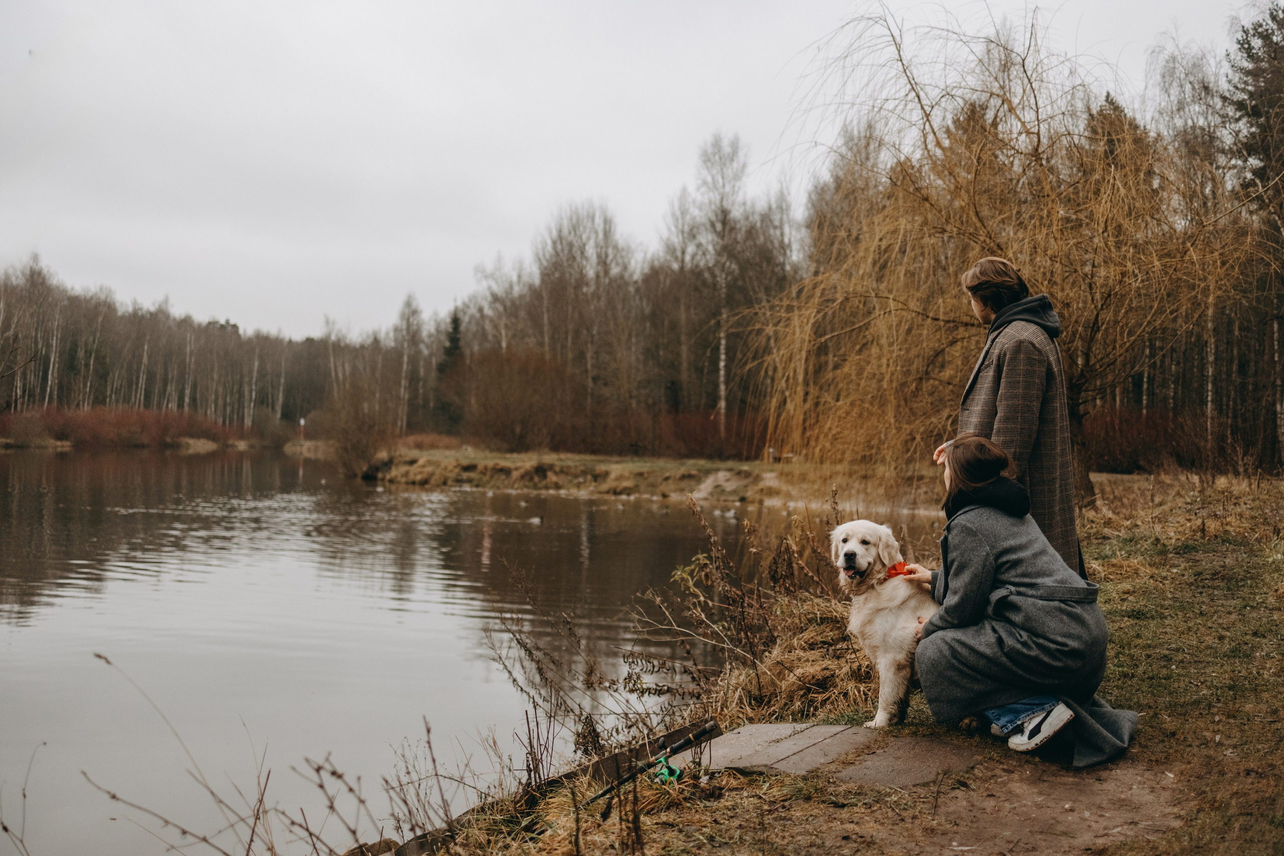 Лаки и его семья. Фотограф — Анималист | Санкт-Петербург