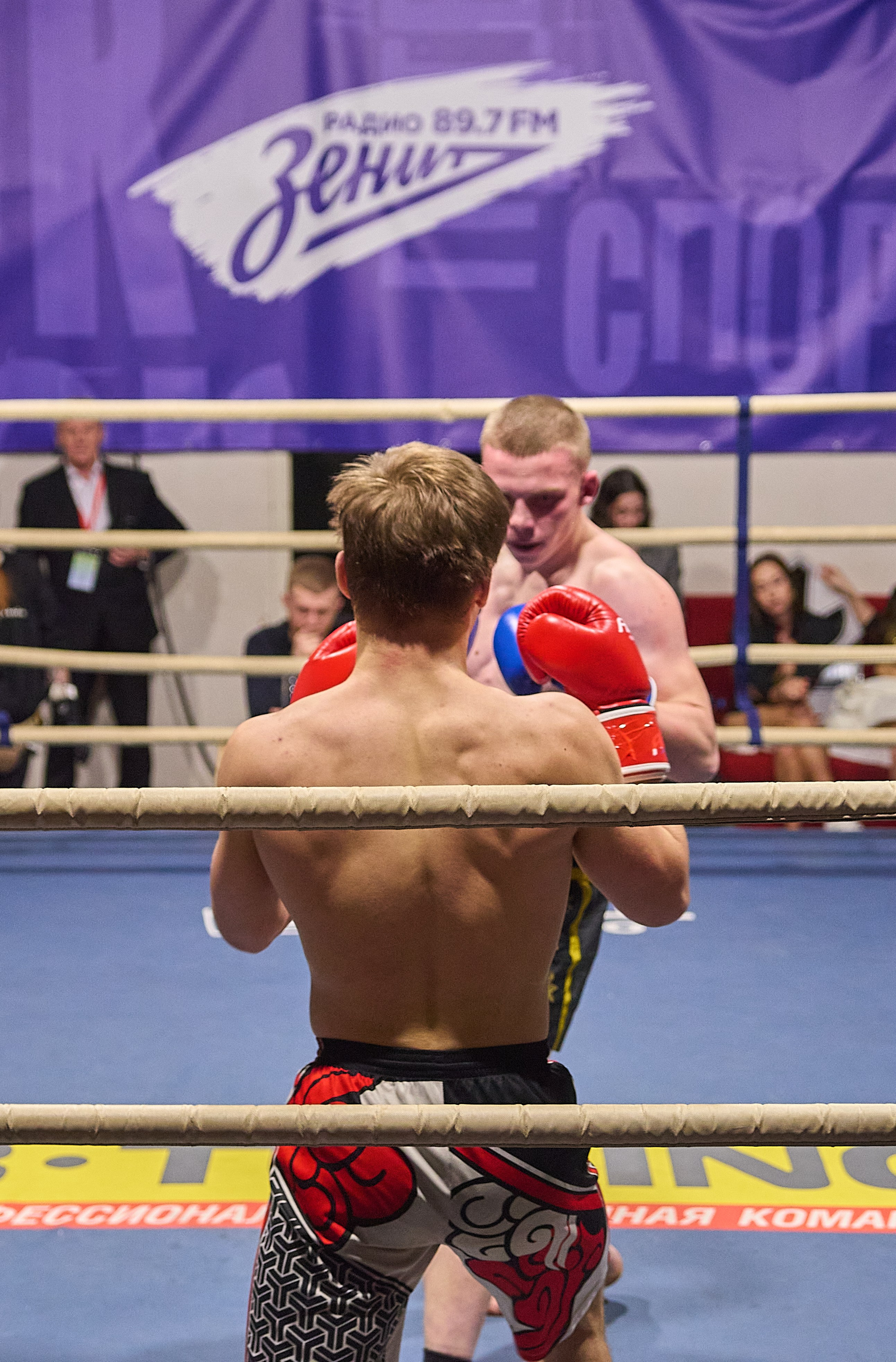 «Ультиматум удара» — бокс. Профессиональный спортивный фотограф в Санкт-Петербурге