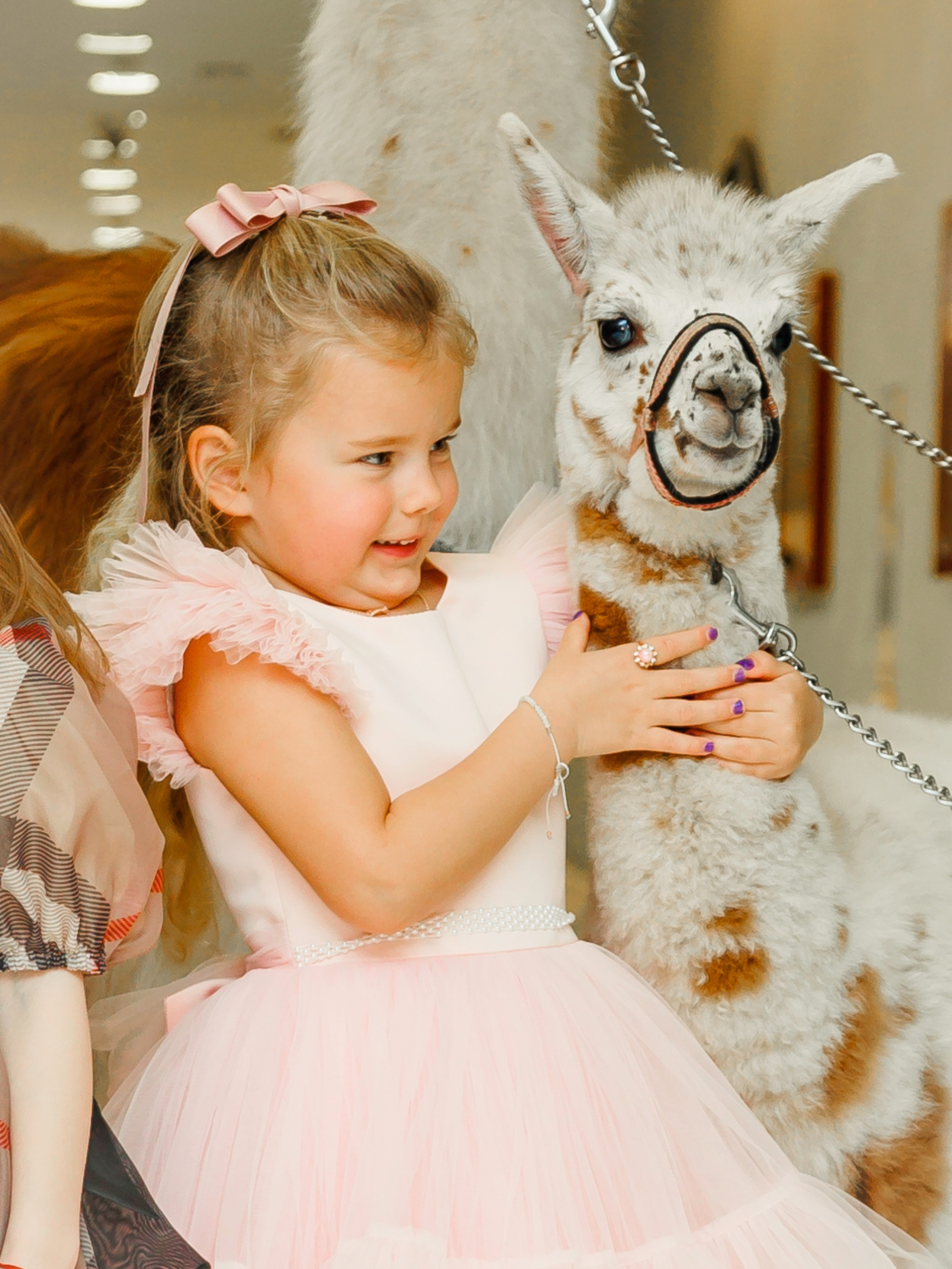 Банкетный репортаж. Главная