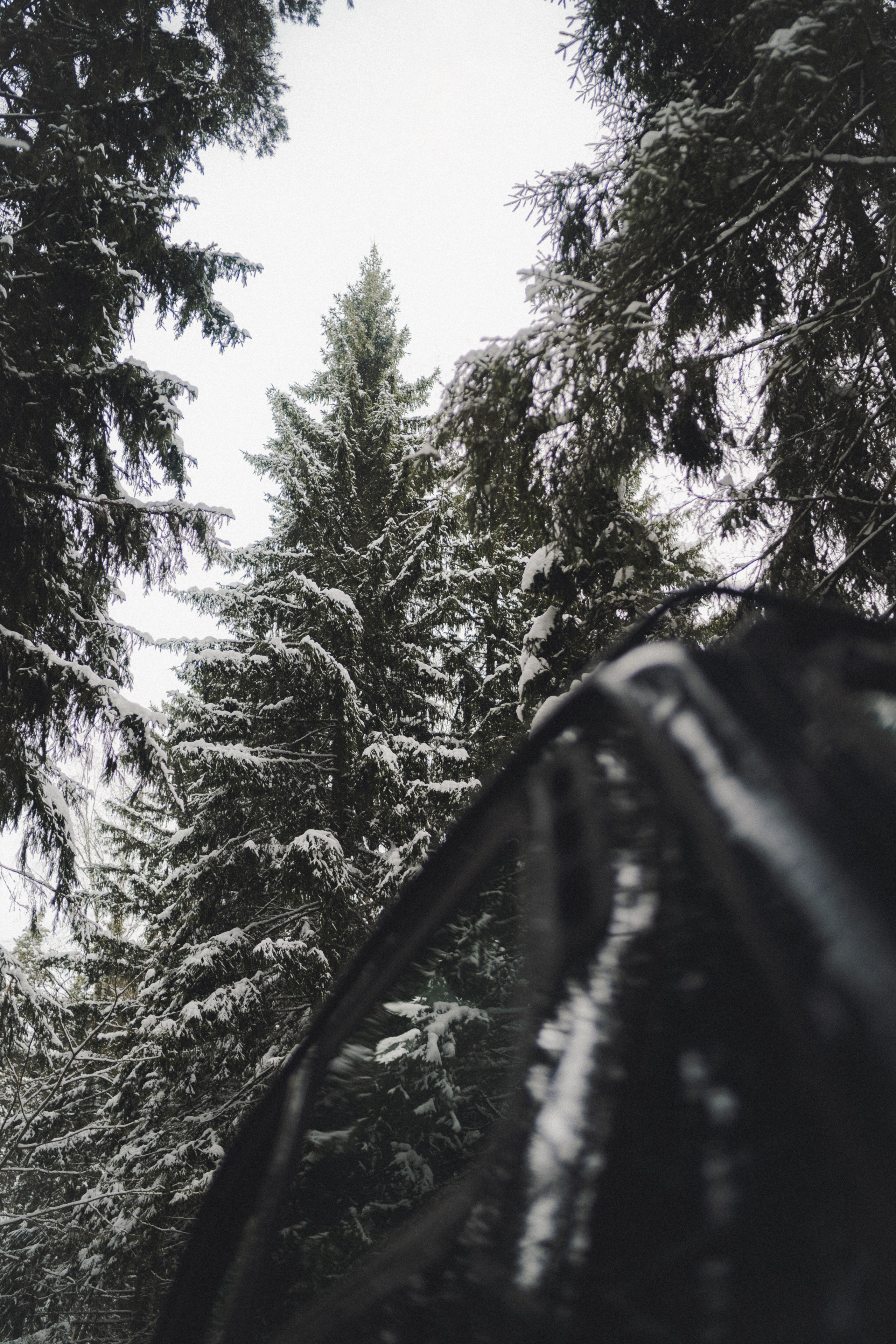 Niva Bronto (Nessie) x FAUNO. Фотограф Илья К. в Москве