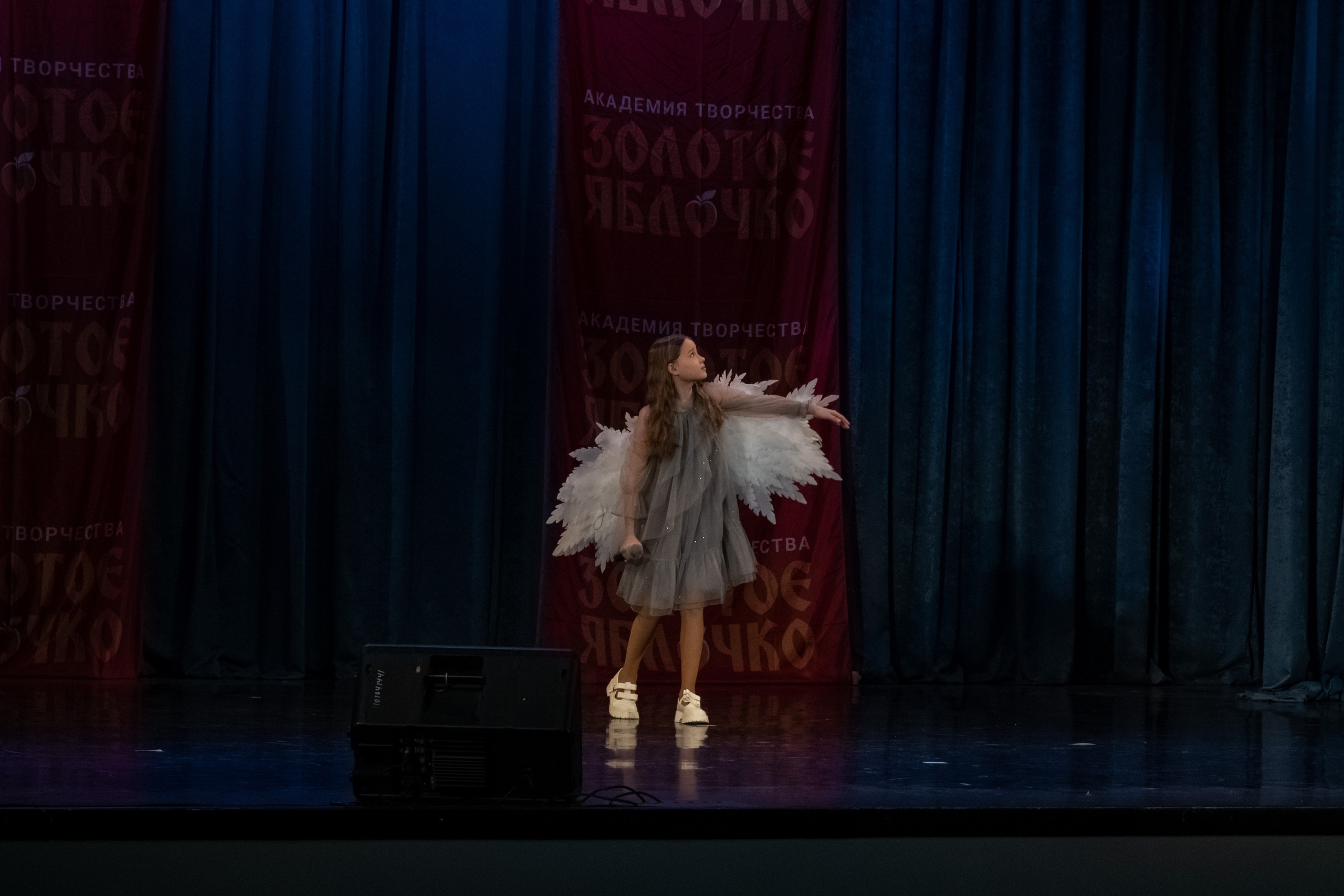 7 декабря, г. Выборг. Золотое яблочко