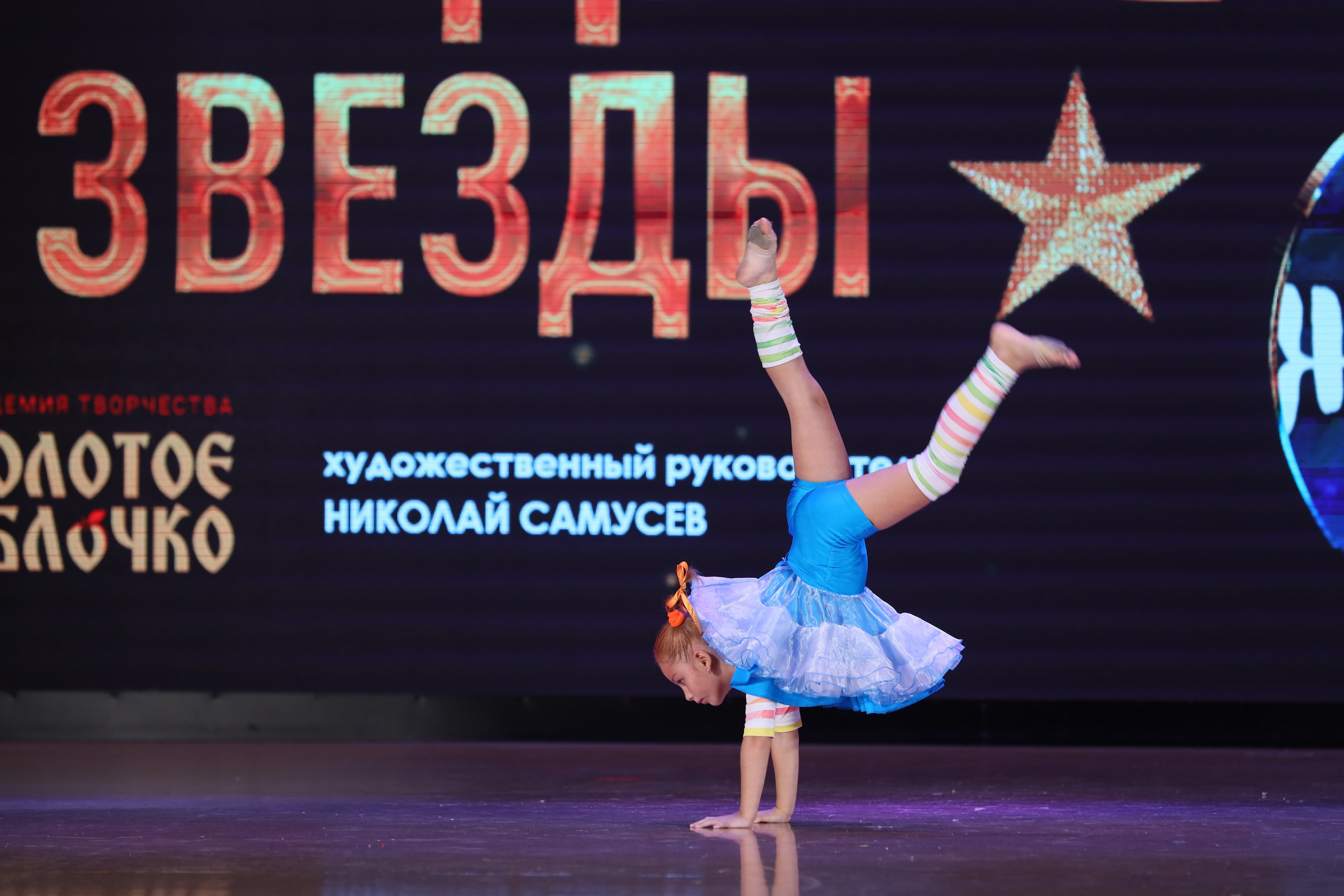 4 ноября, блок 1, видео, номера 49-58, г. Краснодар. Золотое яблочко