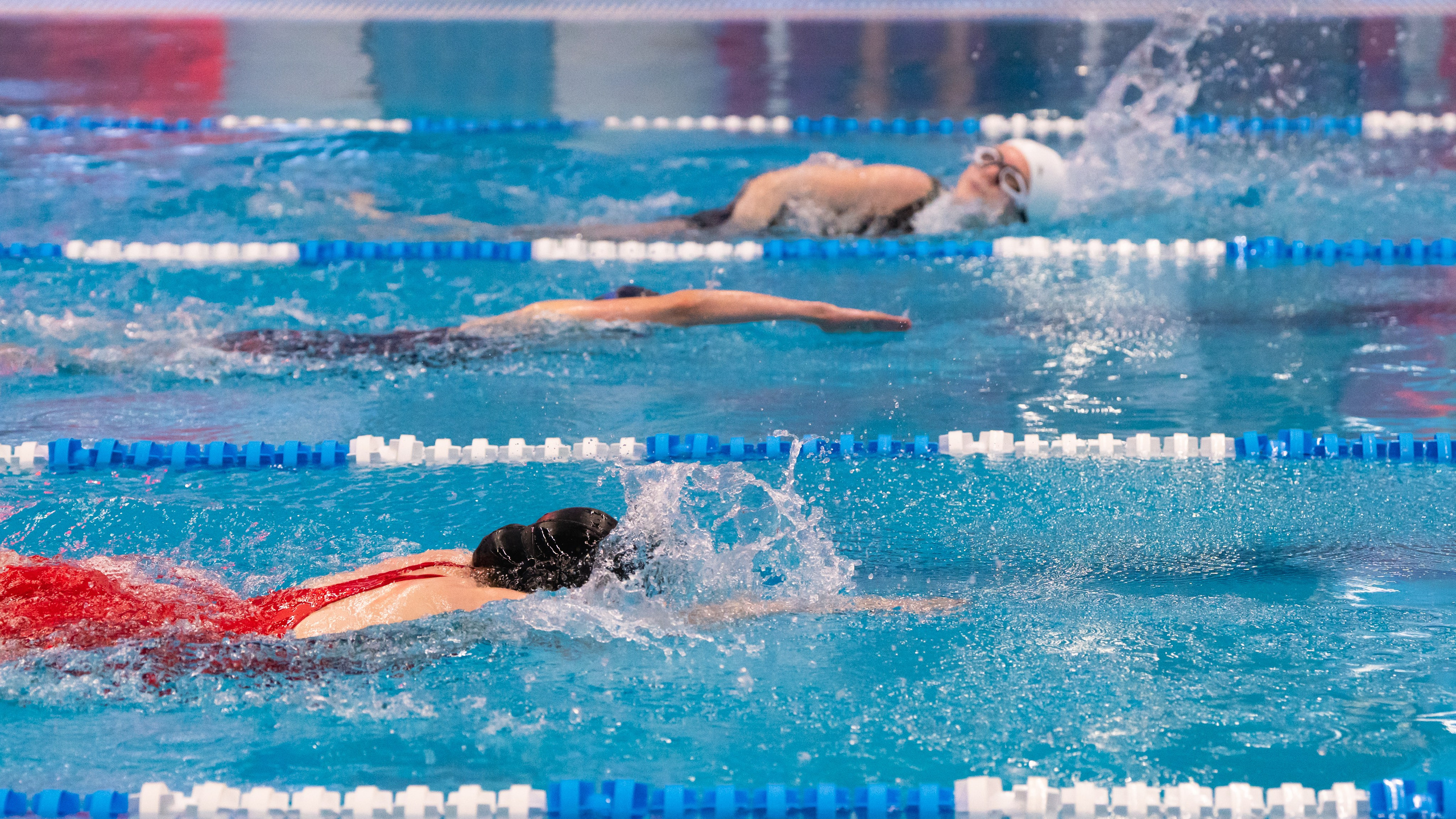 Открытый новогодний турнир по плаванию «Сила воды», 2025. Фотограф и видеооператор Екатерина Гнатюк