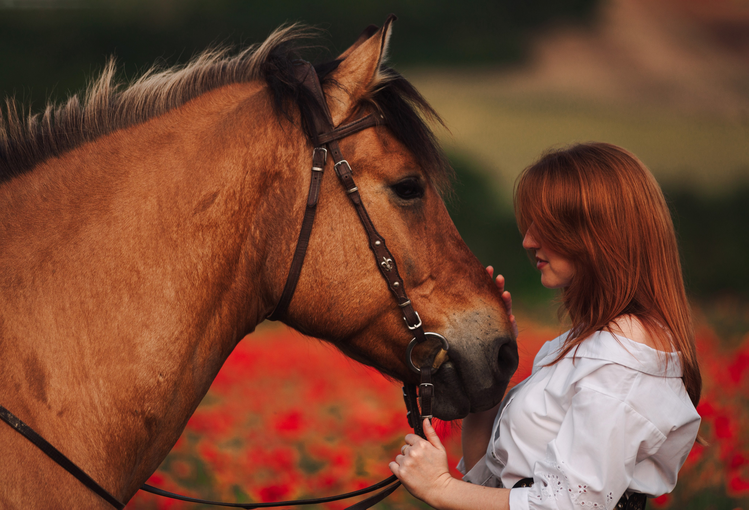 Маковые поля. Конный и театральный фотограф Анапа