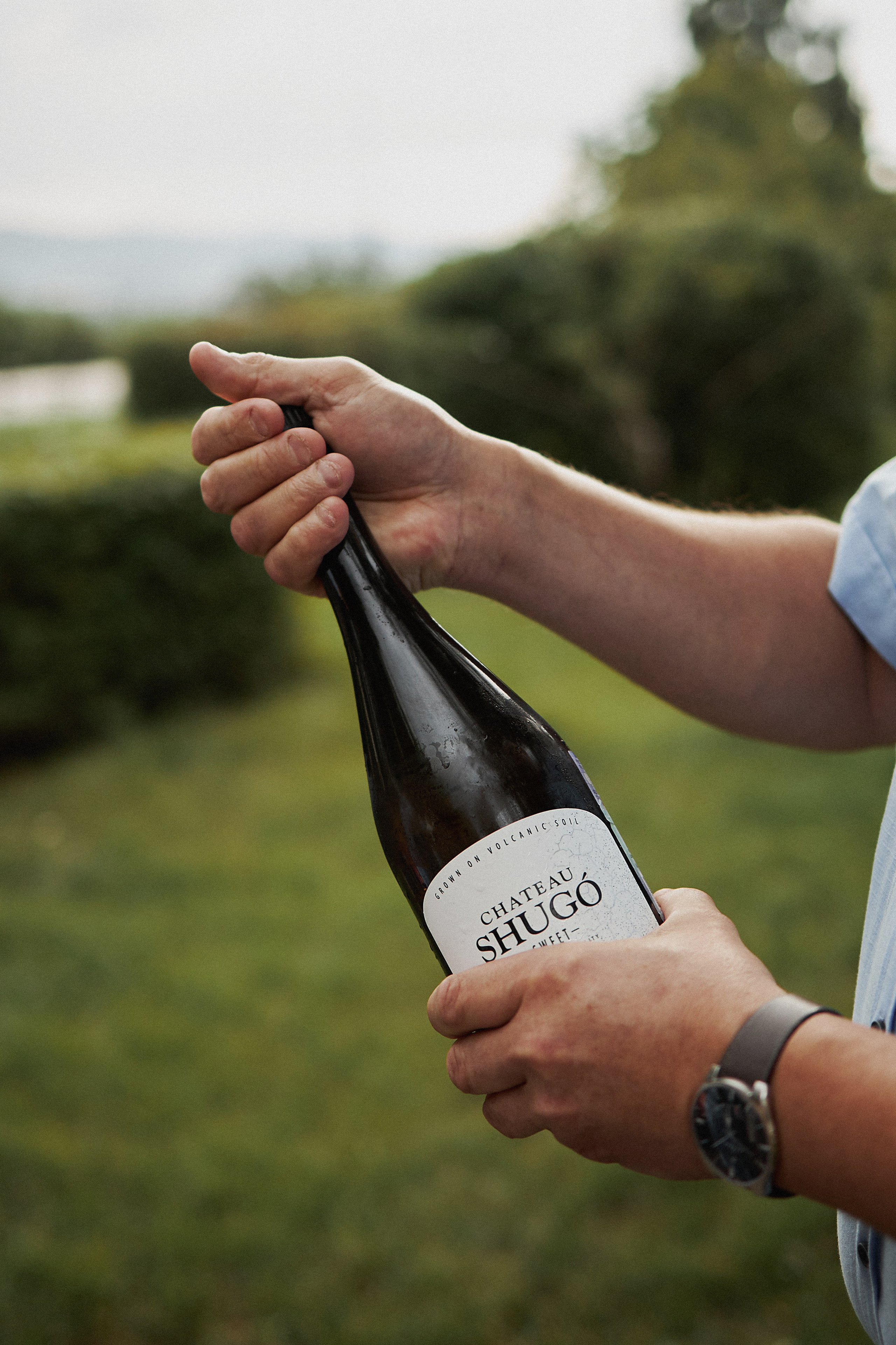 Марина и Никита. Фотограф в Красноярске Ксения Дмитрик