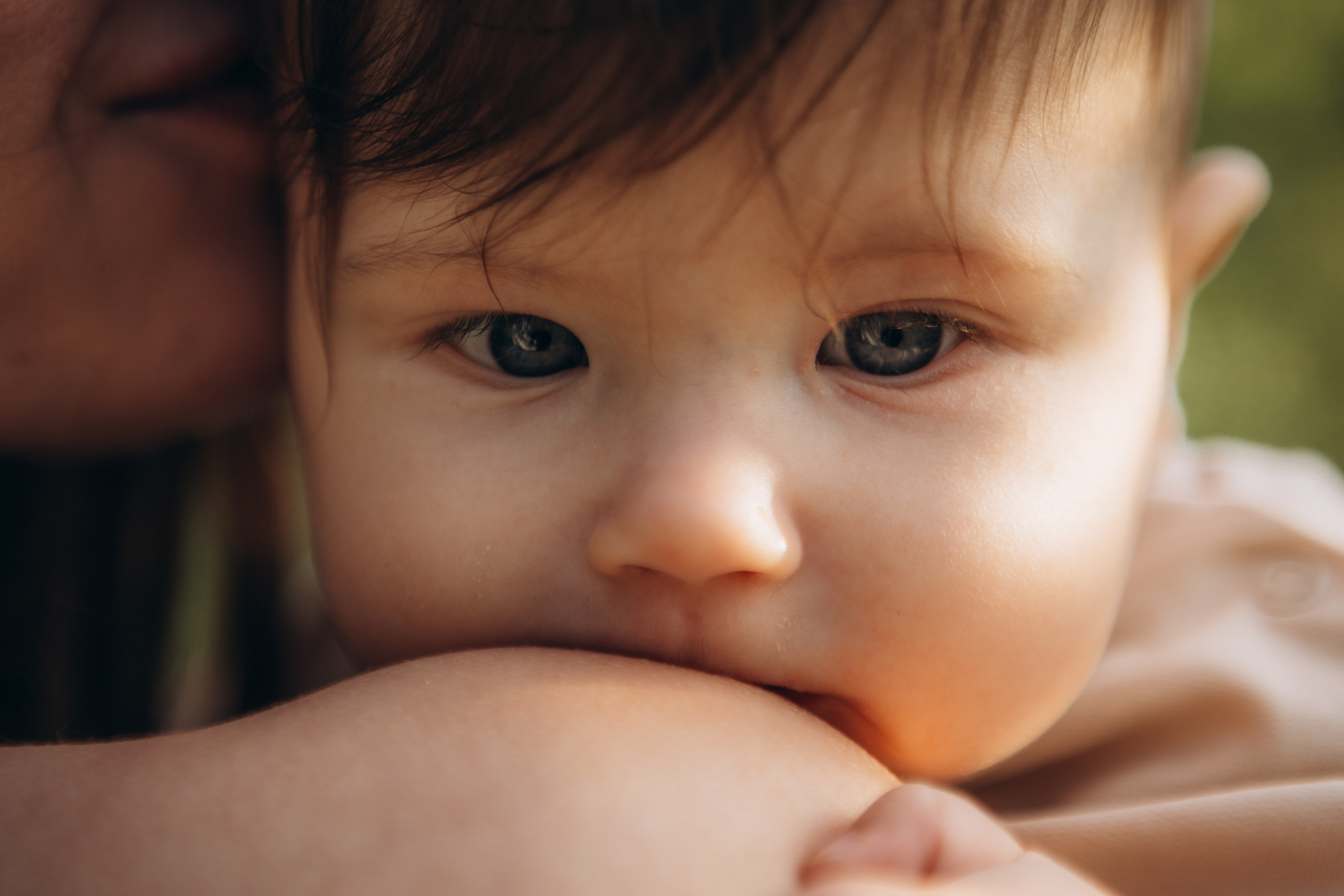 Летняя прогулка Мещерский парк. Наталья Косьянова. Ваш фотограф. Москва