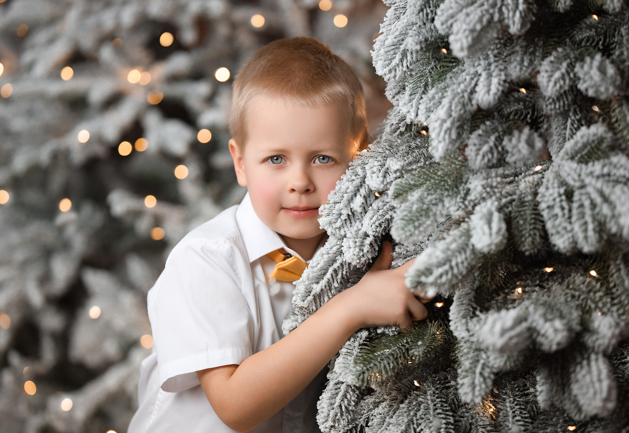 ФОТО ПРОЕКТ «НОВОГОДНИЙ». Школьный фотограф в Красноярске