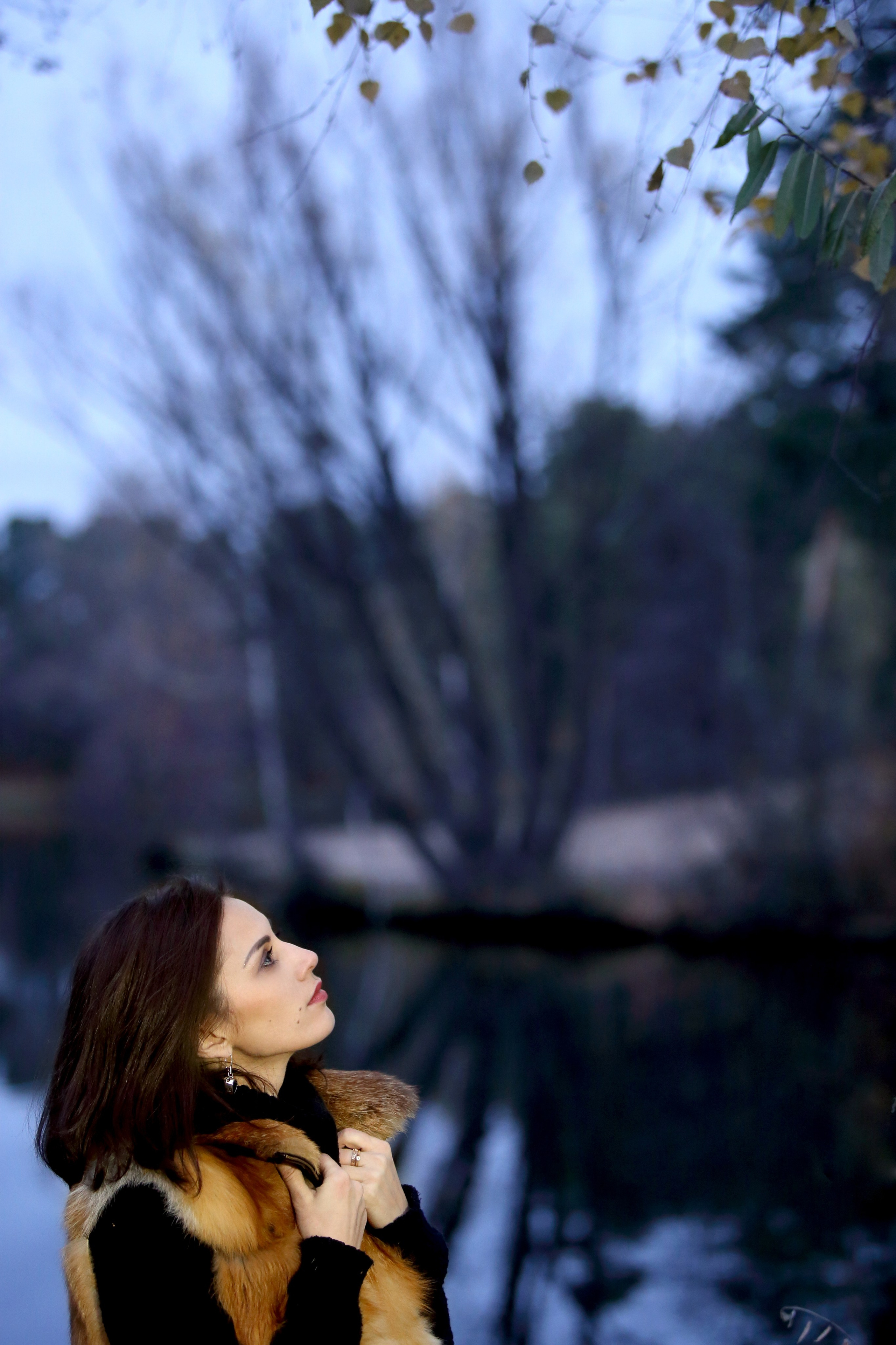 Прогулка. Фотограф Лагутин Анатолий