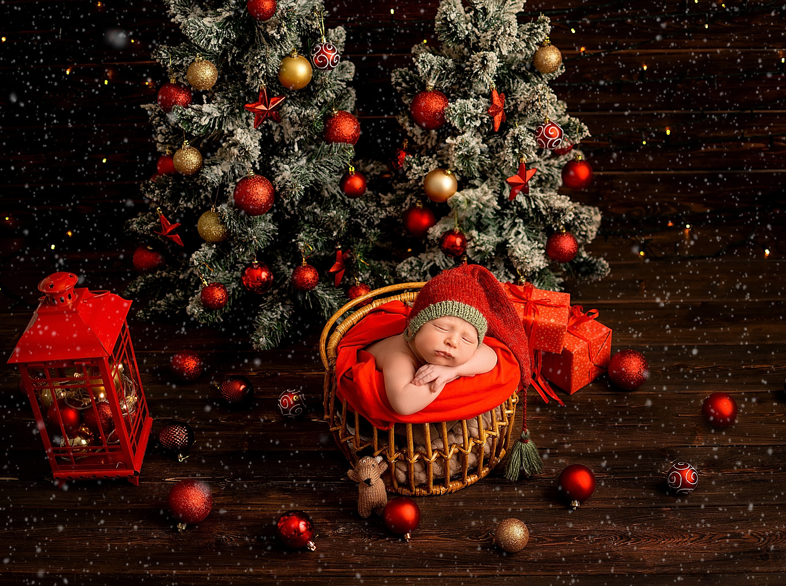 Артём 15 дней. Фотограф новорожденных Краснодар Малышенко Надежда