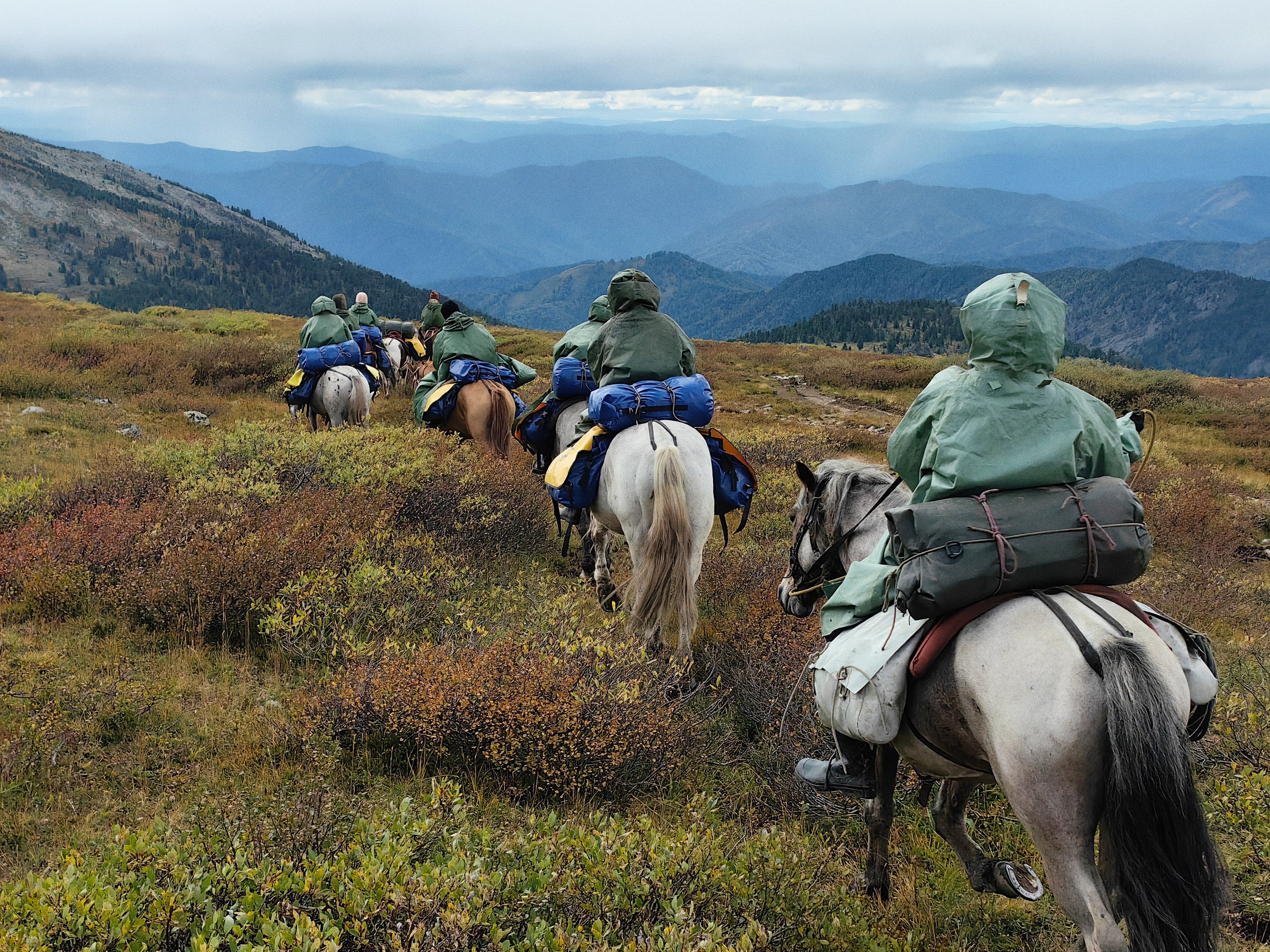 Алтай. Юрий Березнюк. Фотожурналистика