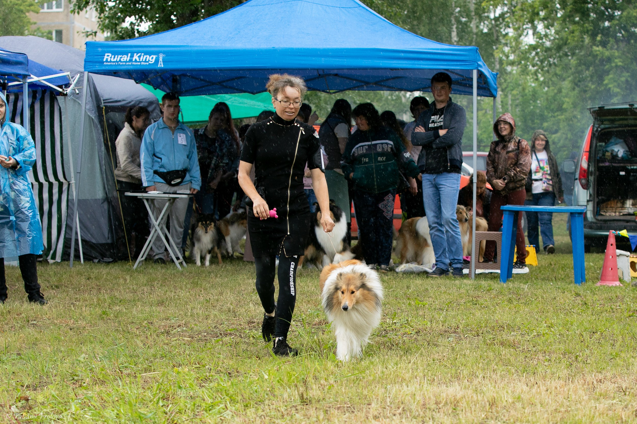 Фотосопровождение выставки собак в Московской области и Москве. Фотограф-анималист в Москве и Московской области Татьяна Фролова