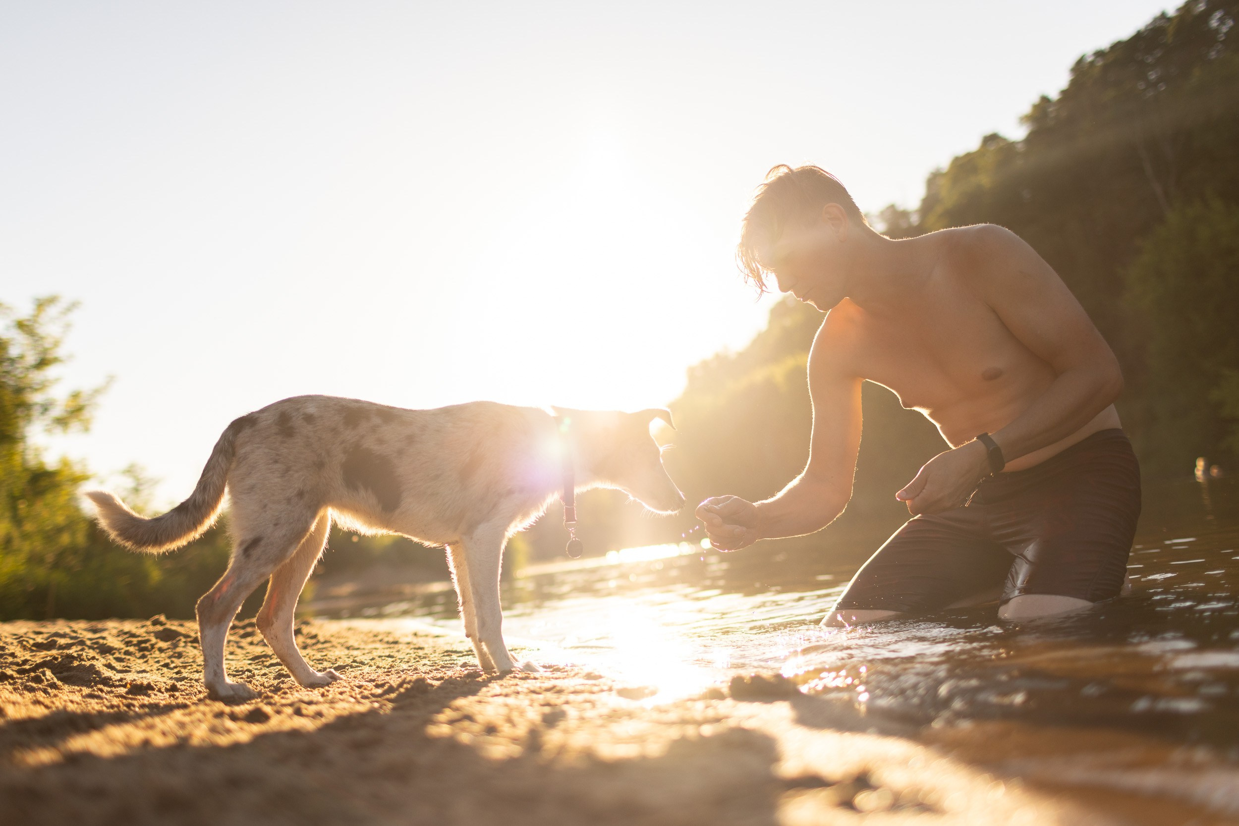 Купание щенков в стиле лайфстайл. Фотограф-анималист в Москве и Московской области Татьяна Фролова