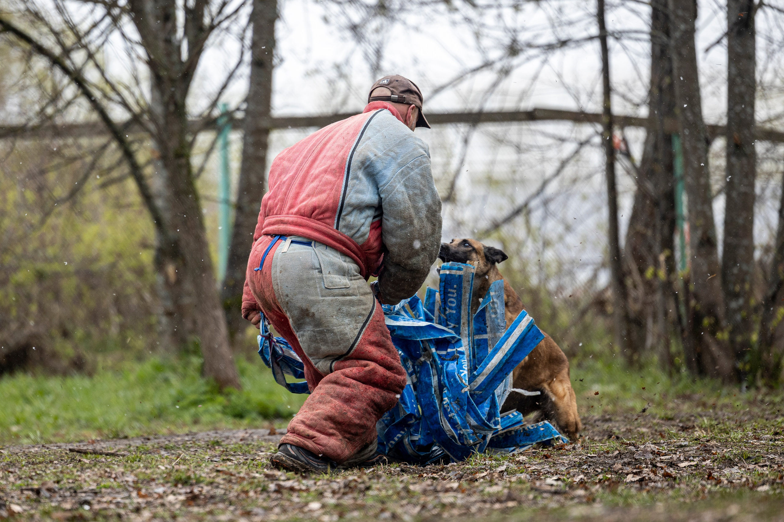 Квалификационные состязания по мондьорингу г. Вологда 11.05.24. Фотограф-анималист Анна Маринич