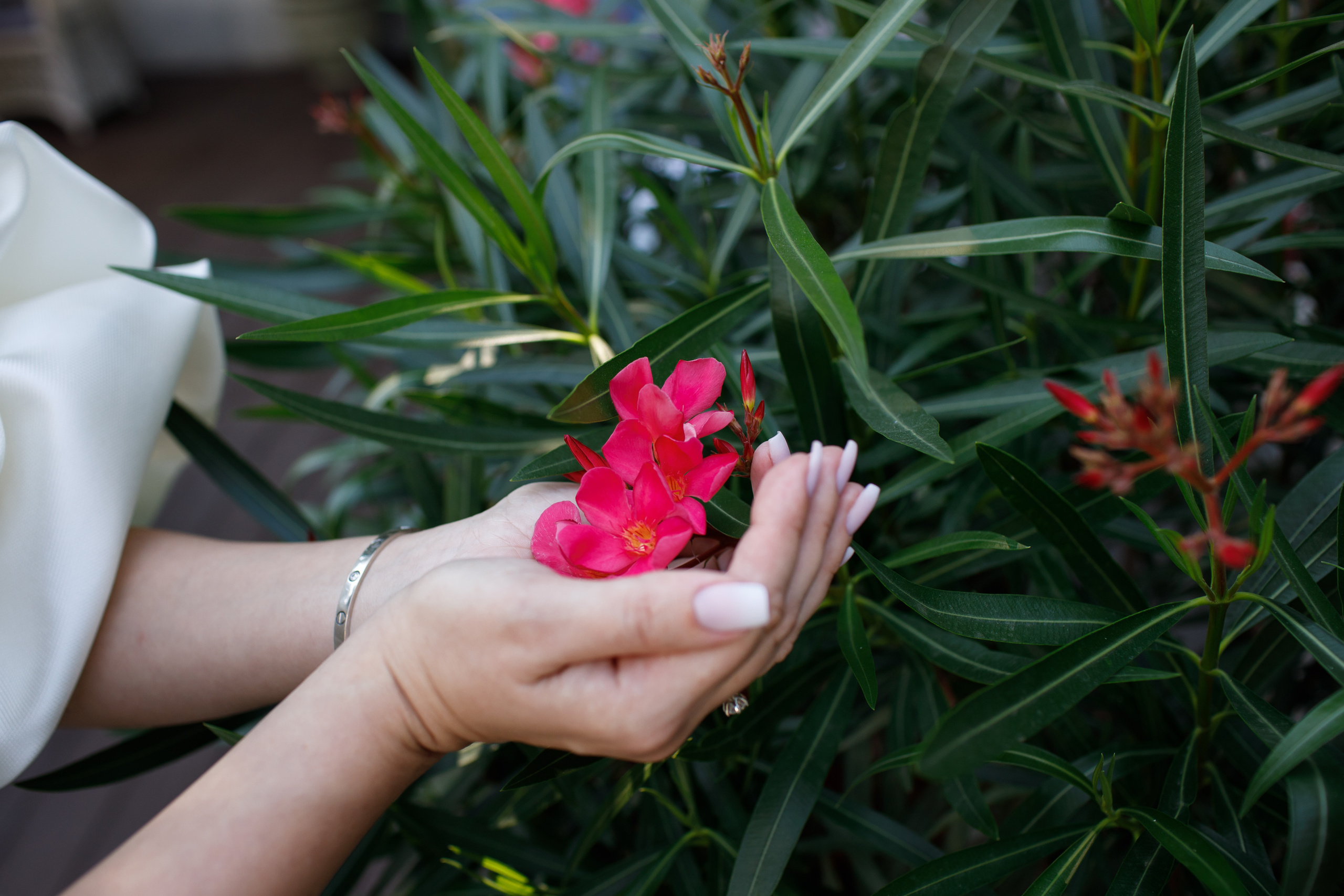Анонс свадьбы Константина и Виктории. Свадебный фотограф Краснодар, Сочи, Геленджик, Анапа, Ростов