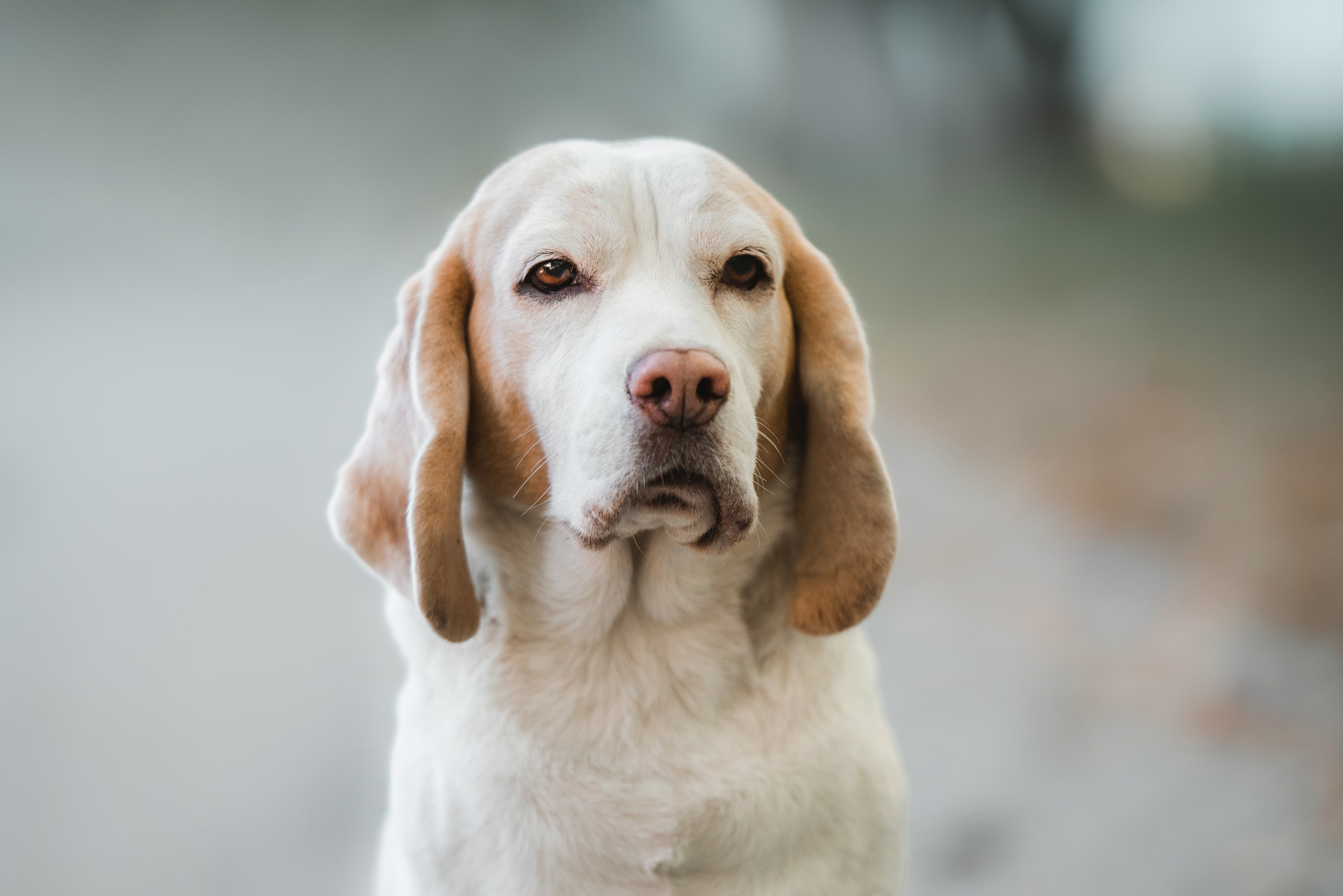 Оля и Ника. Семейный Фотограф в Москве Ирина Хохлова