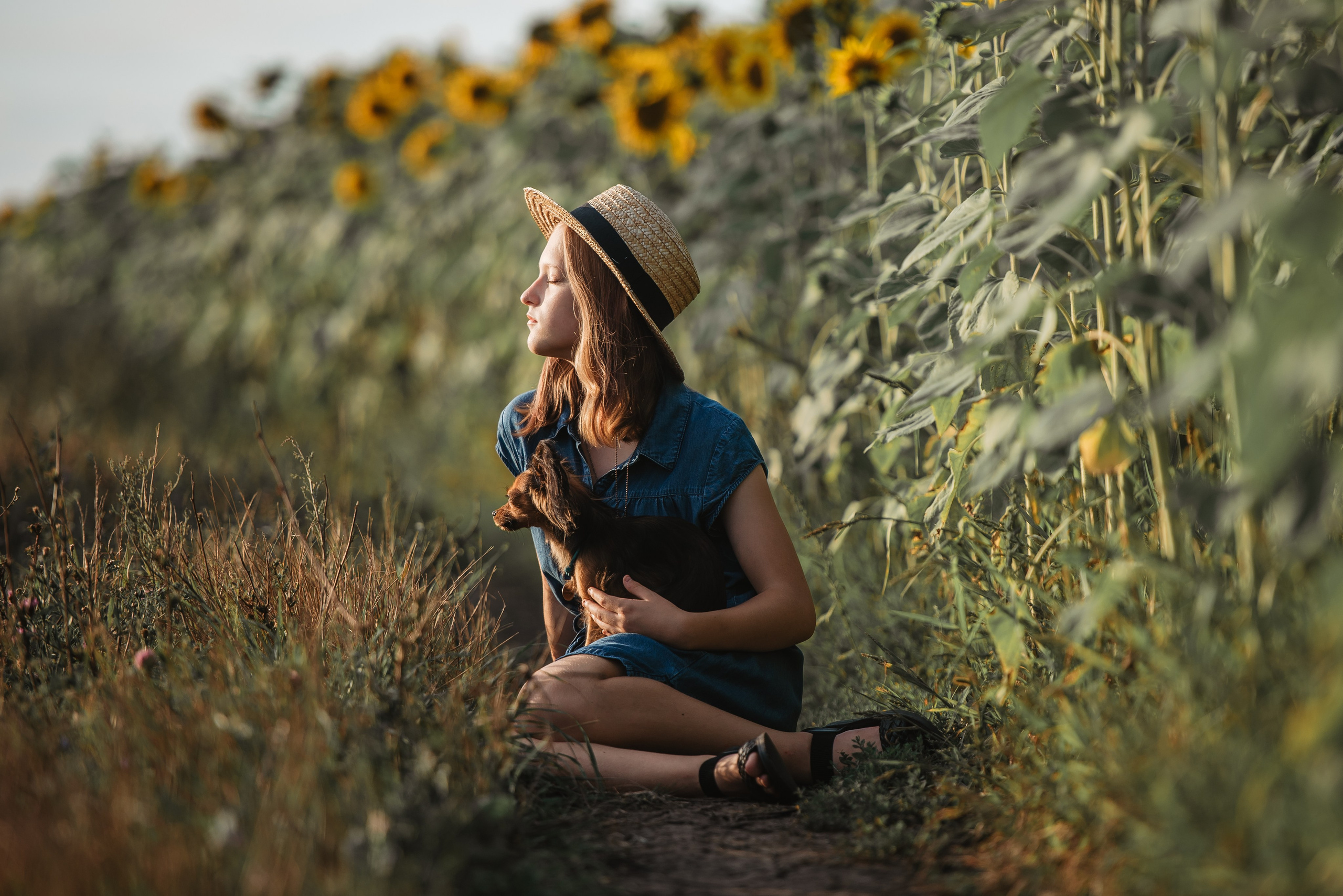Прогулка в подсолнухах. Семейный Фотограф в Москве Ирина Хохлова
