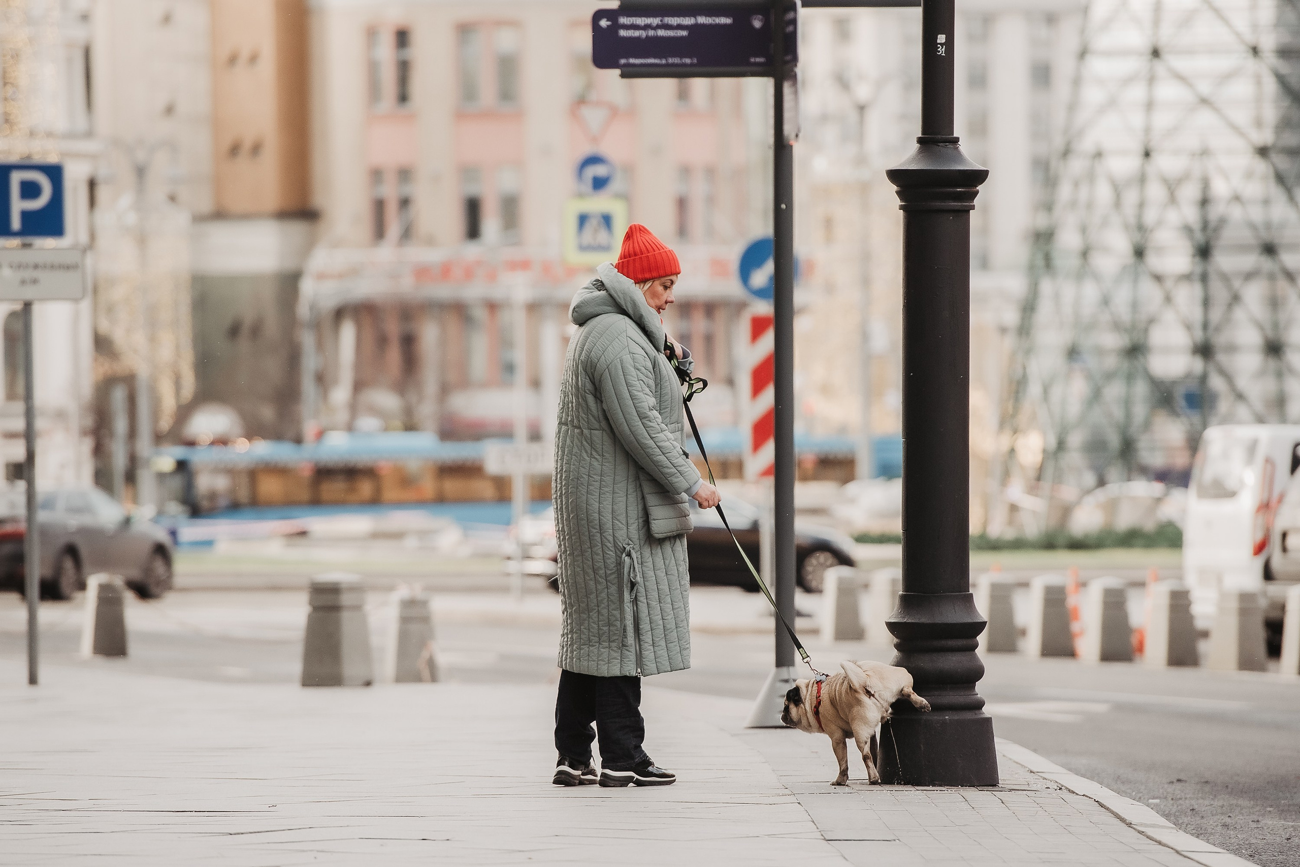 Ольга и Потапум. Прогулка к чайному дому. Семейный Фотограф в Москве Ирина Хохлова
