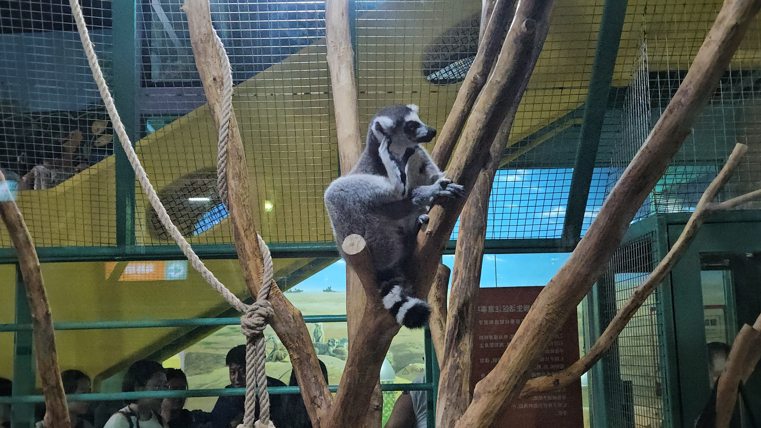 Китай. Июль 2025