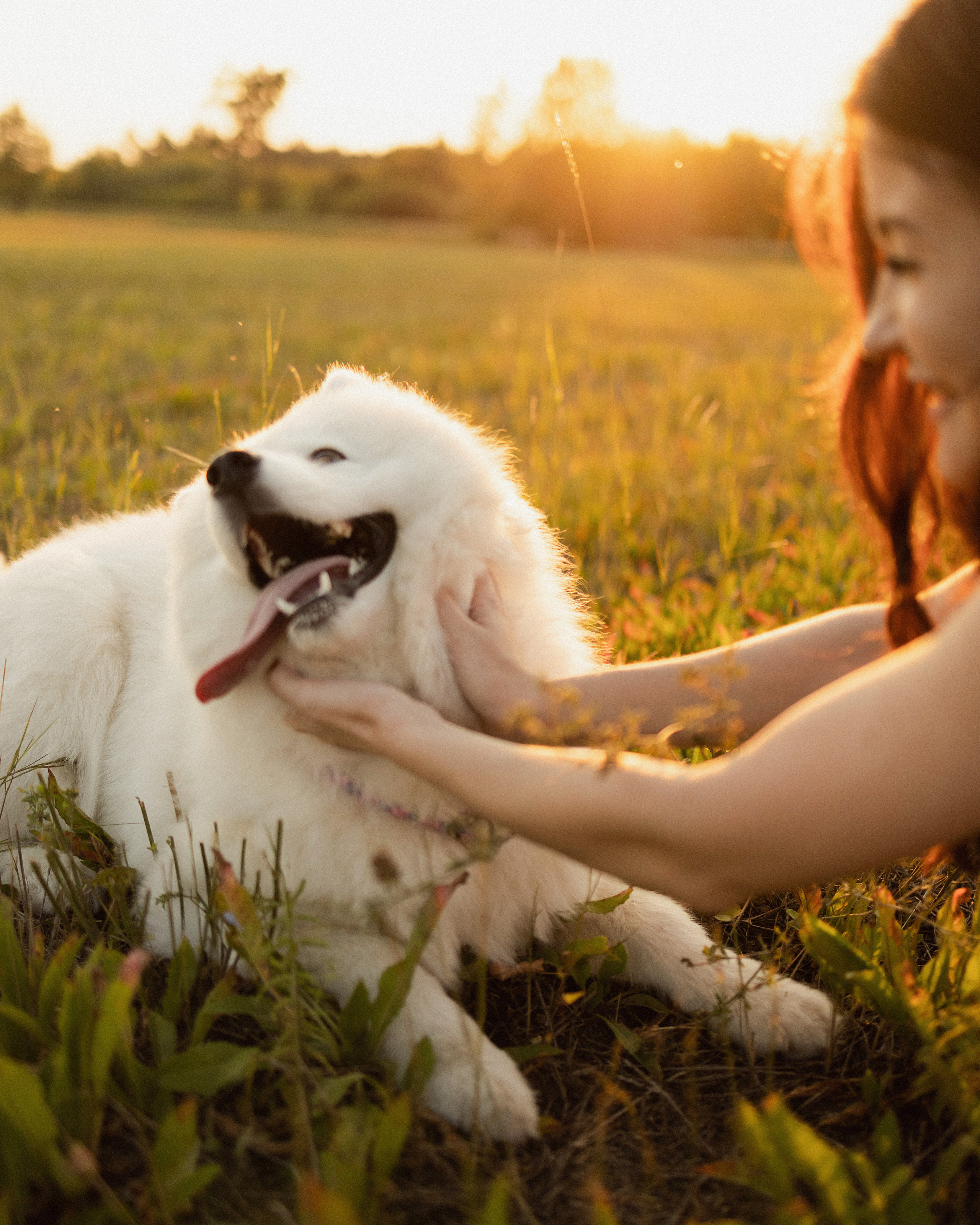 Кристина и Хелли. Фотограф в Красноярске Ксения Дмитрик