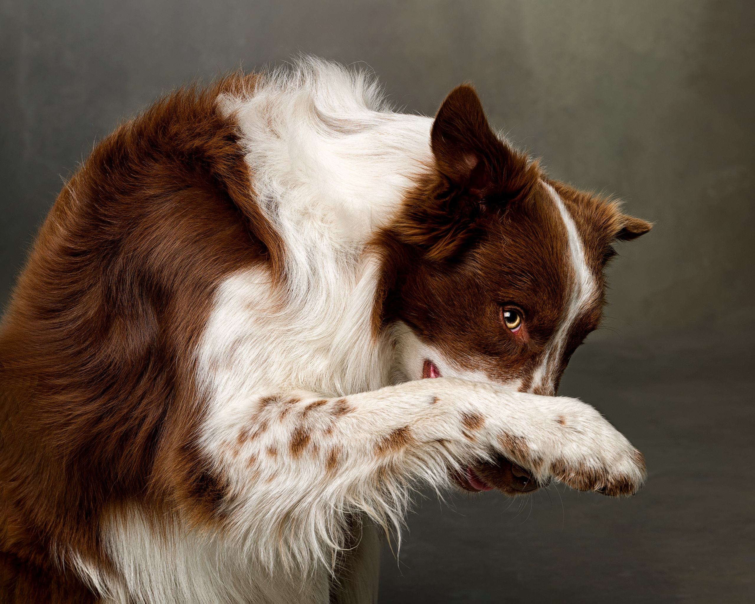 Студийные съемки. Портретный фотограф в Челябинске Катерина Руди