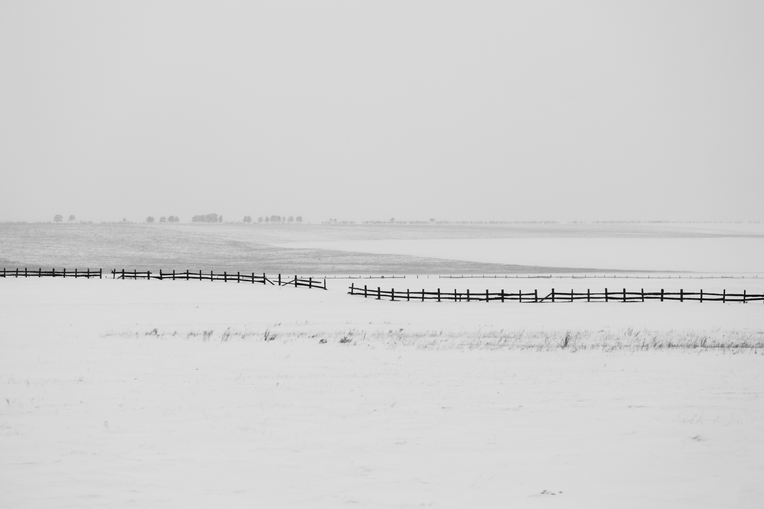 Silence. Irina Borodina