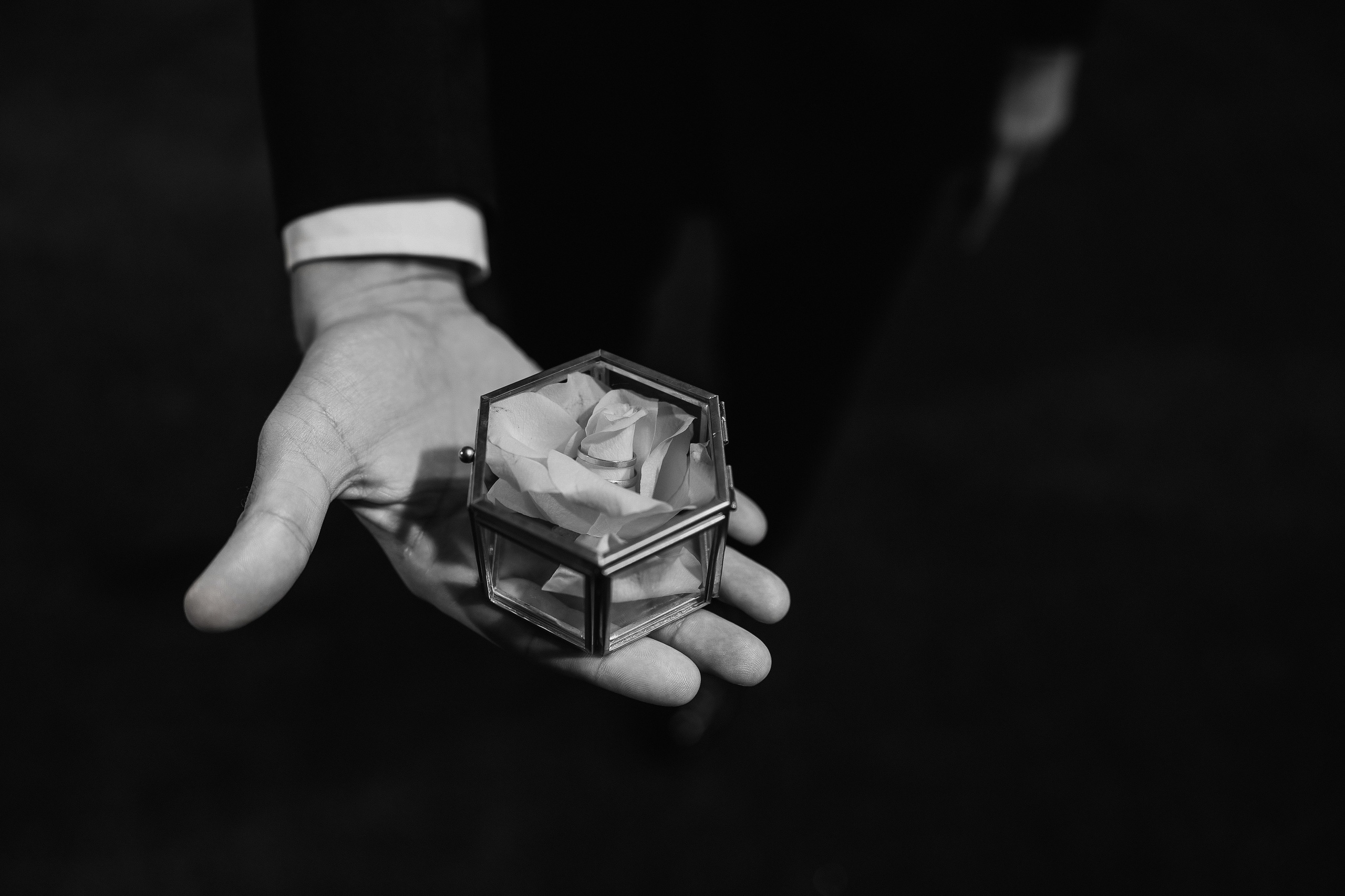 Настя и Тёма. Свадебный и семейный Фотограф Денис Кошель