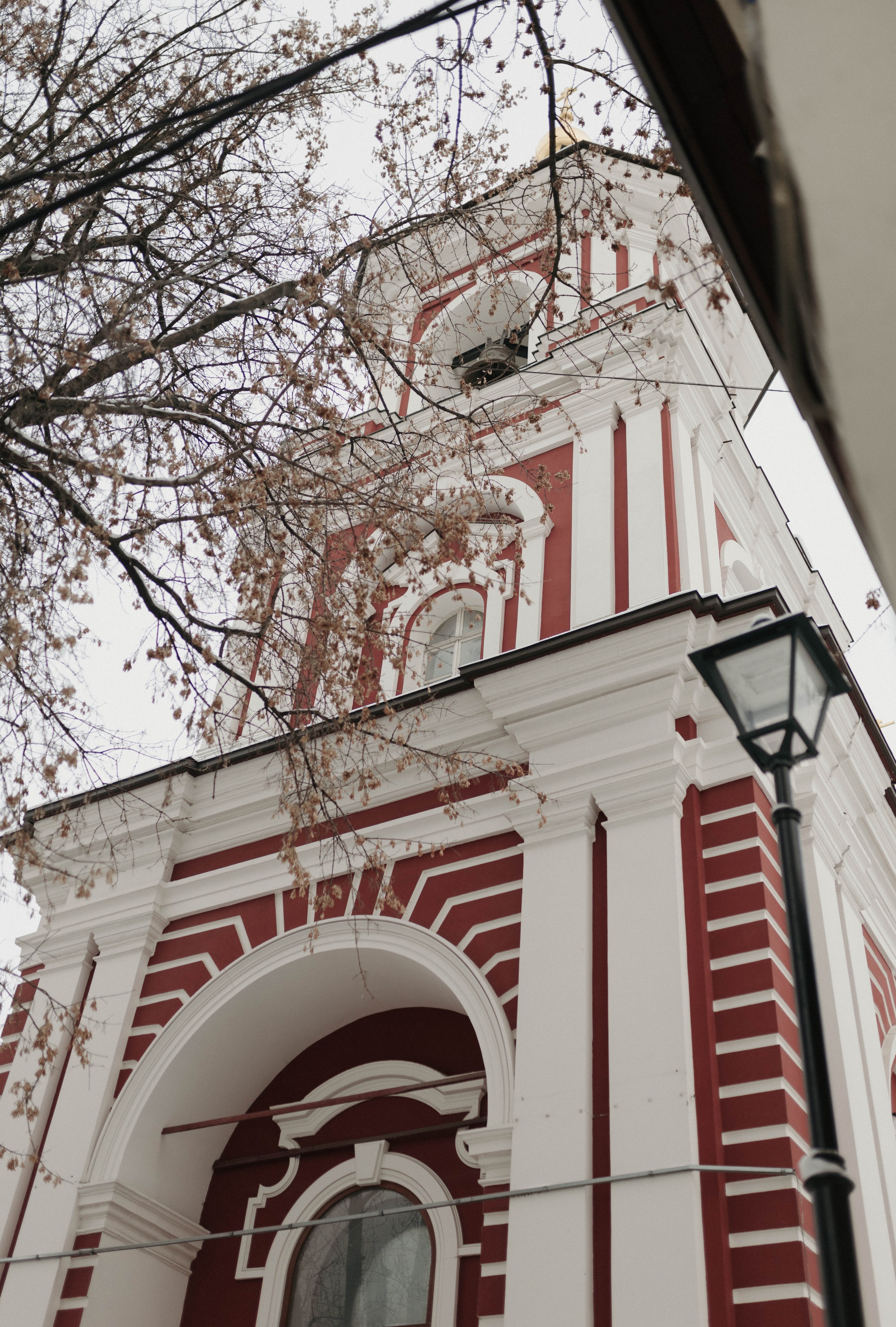 Фёдор. Миронова Анастасия