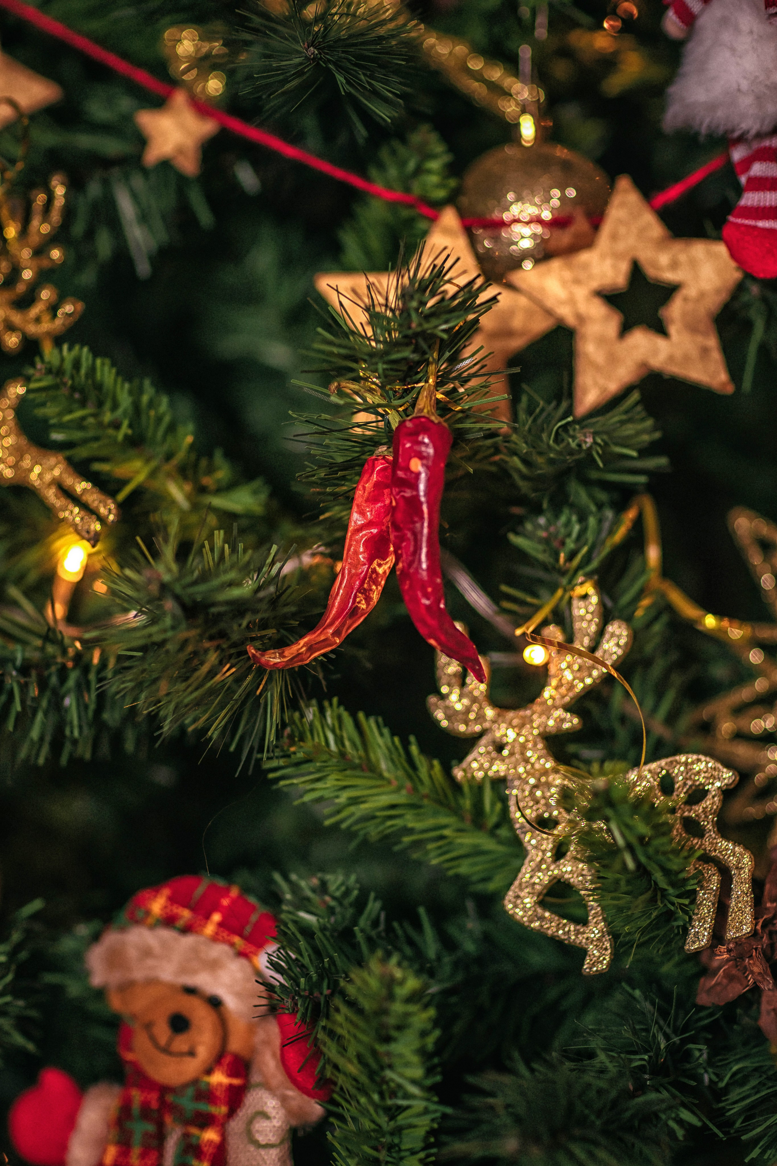 Письмо Деду Морозу. Фотограф в Канске Нина Пуряева