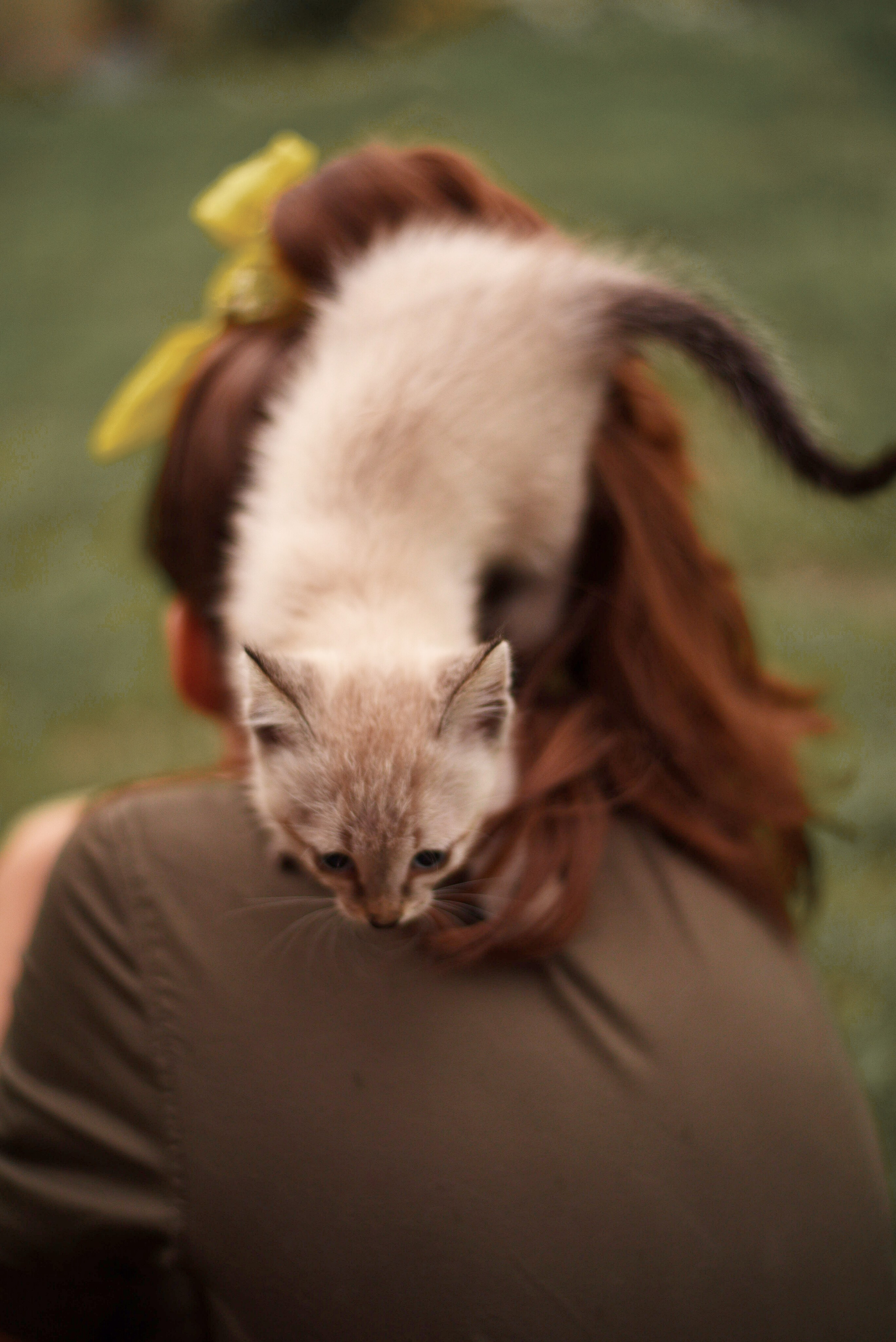 Дачные зарисовки. Приподаева Алёна семейный и детский фотограф в Красноярске