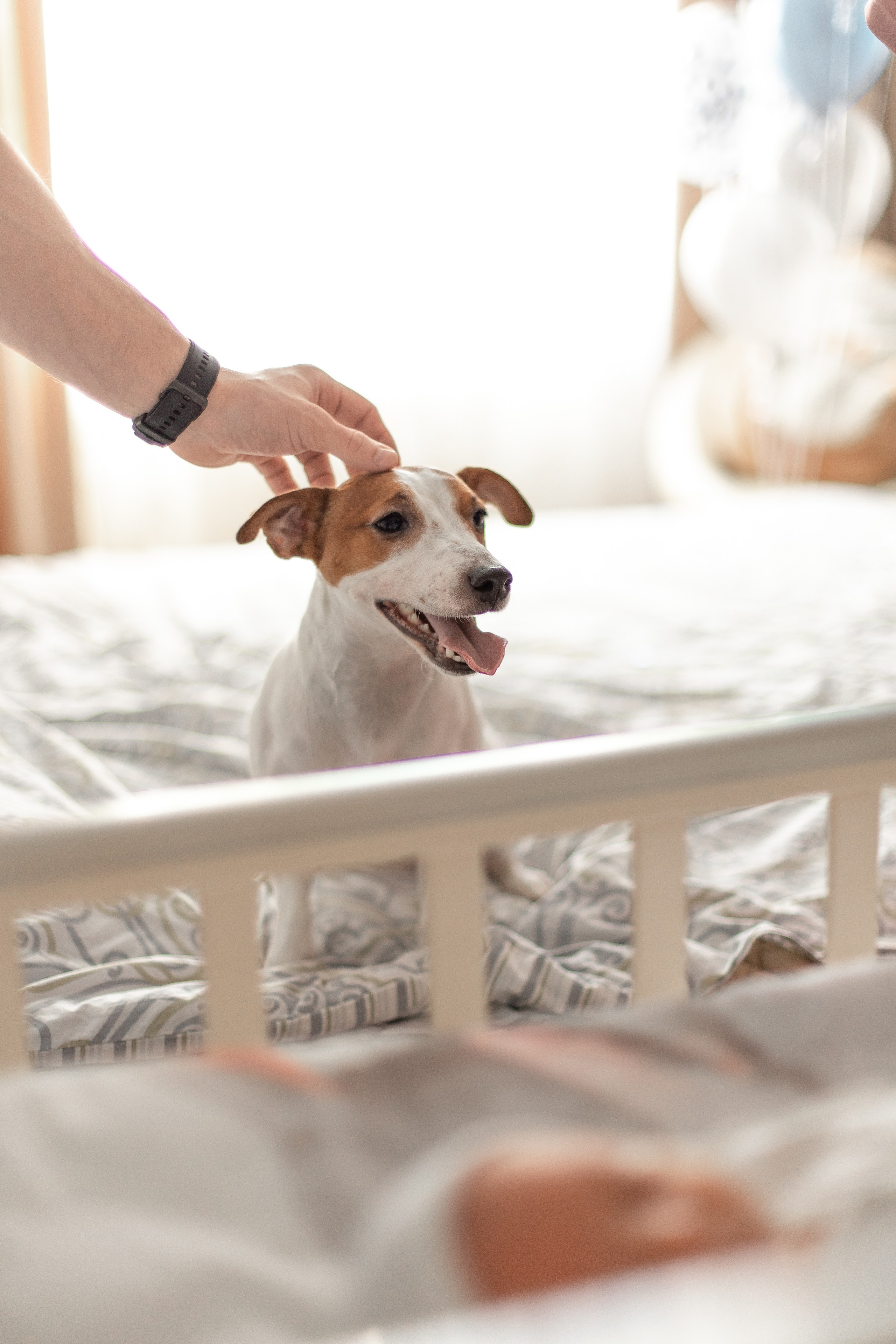 +1. Свадебный и семейный фотограф Арина Кулёва