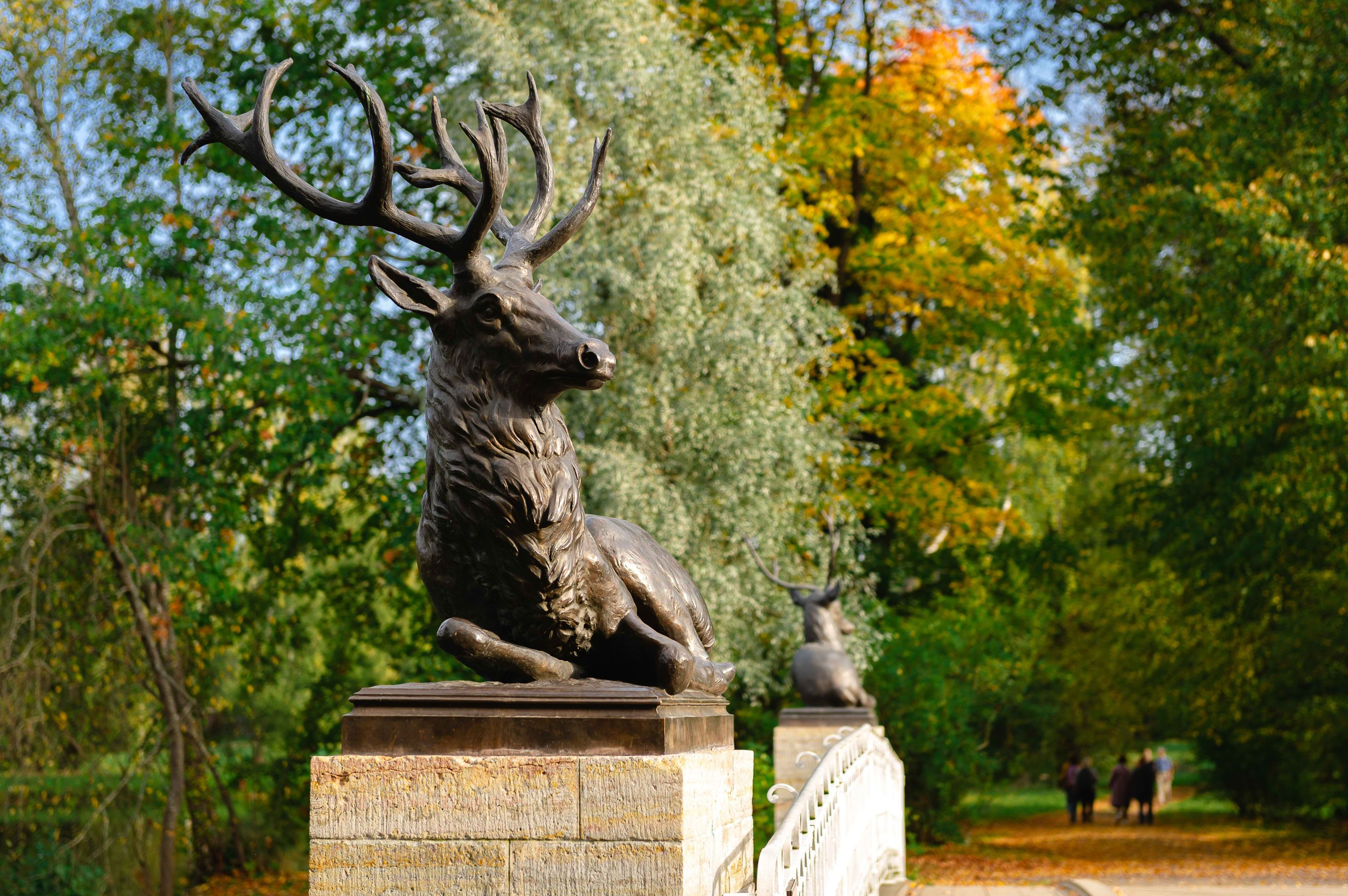 2023.09. Фотограф Алексей Алексеев