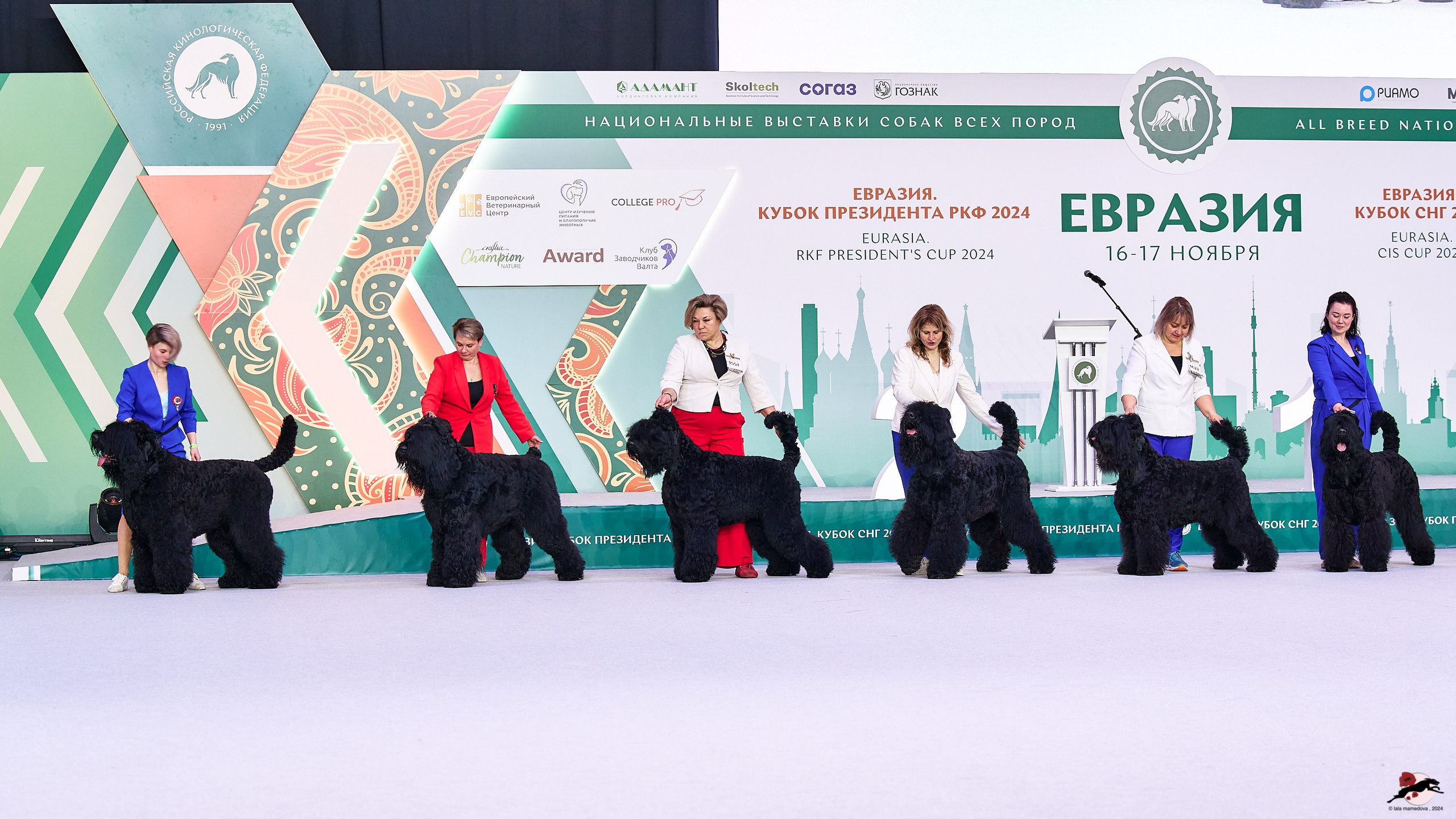 16.11.2024 «ЕВРАЗИЯ. КУБОК ПРЕЗИДЕНТА РКФ 2024»