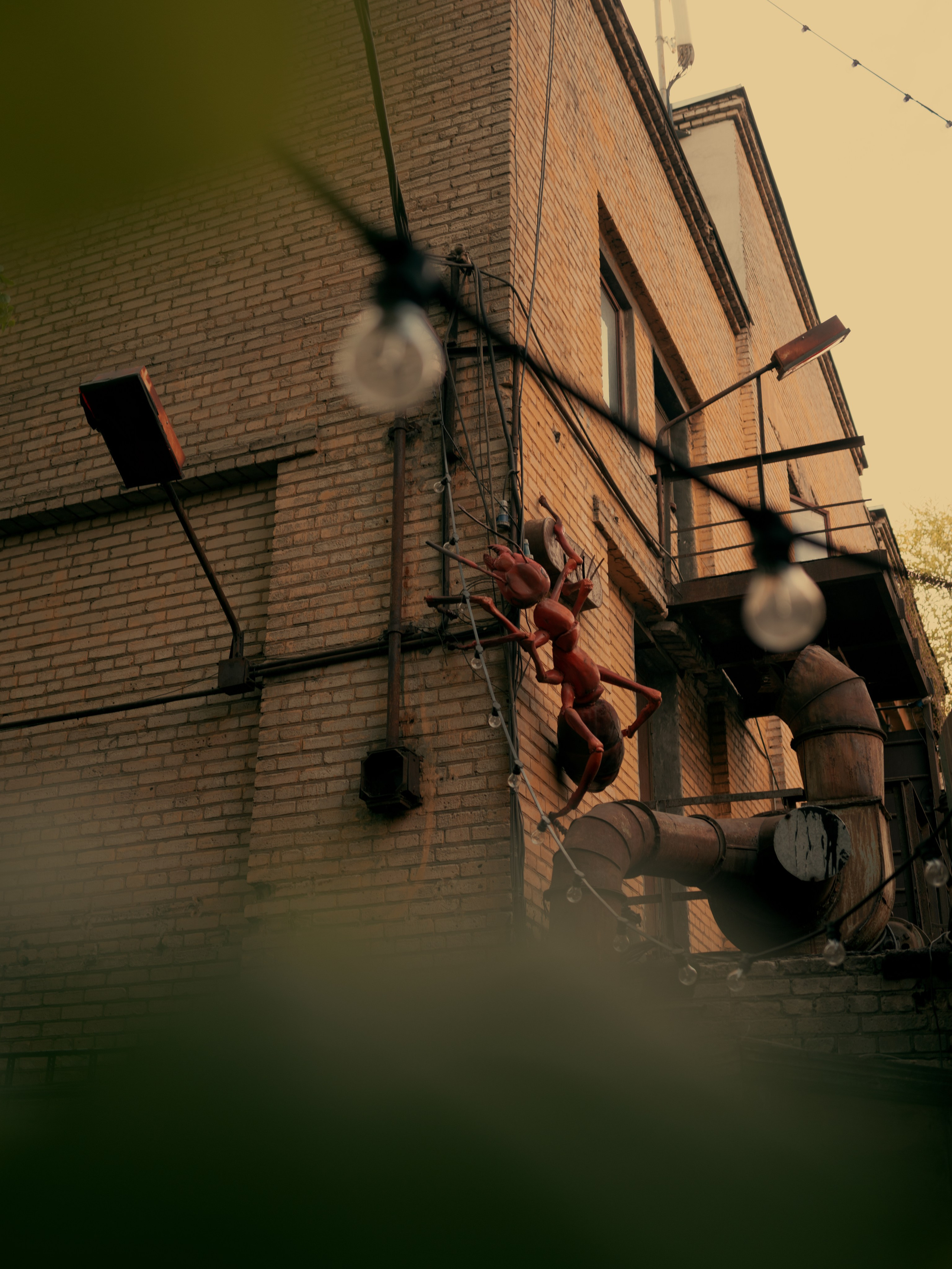 SICK YEARS, ARMA ╳ SILA SVETA. @tomrus: Рустам Шагиморданов — фотограф