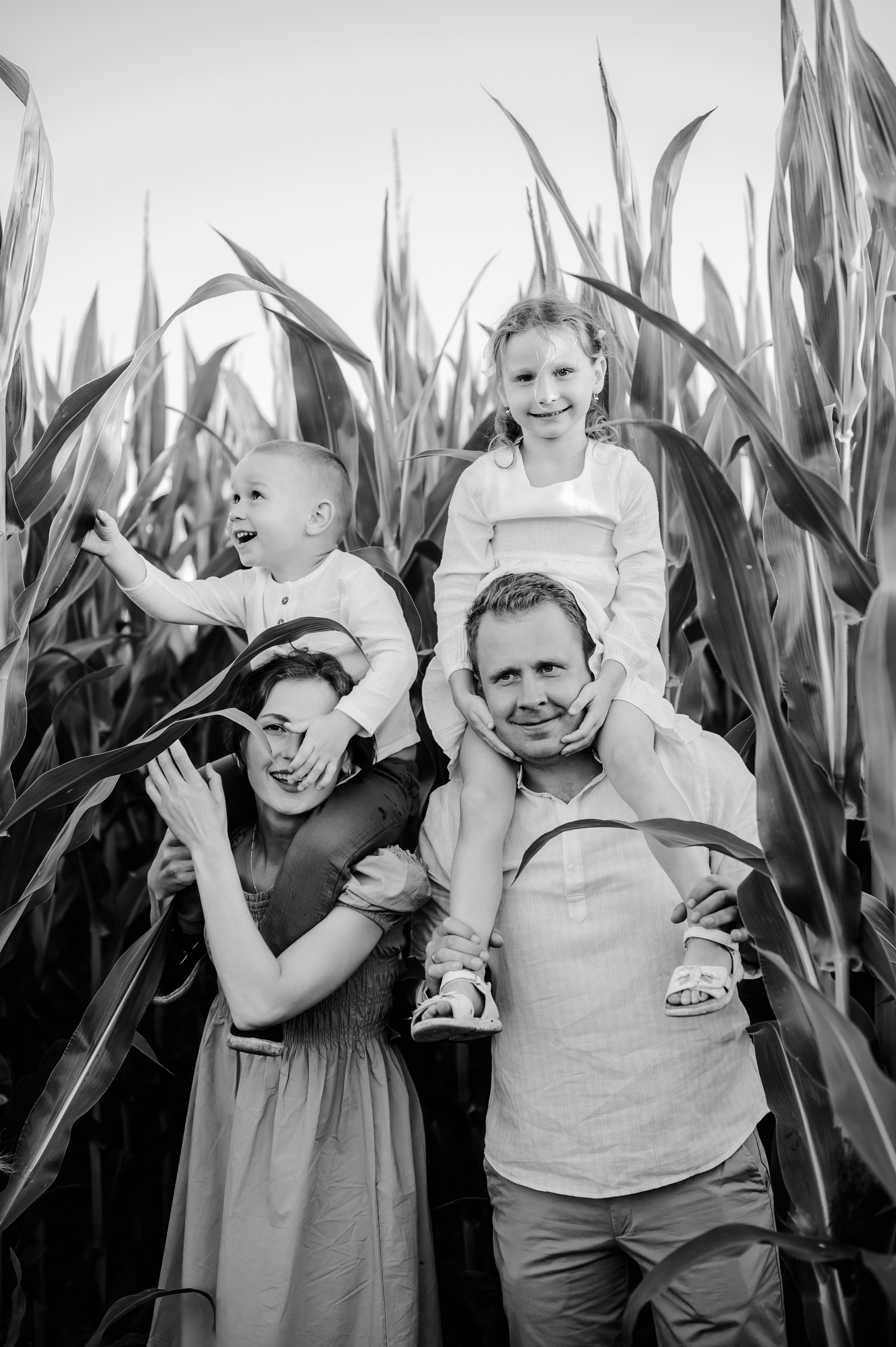 Кукуруза+сено, семейная фотосессия. Свадебный и семейный фотограф Евгения Кононова