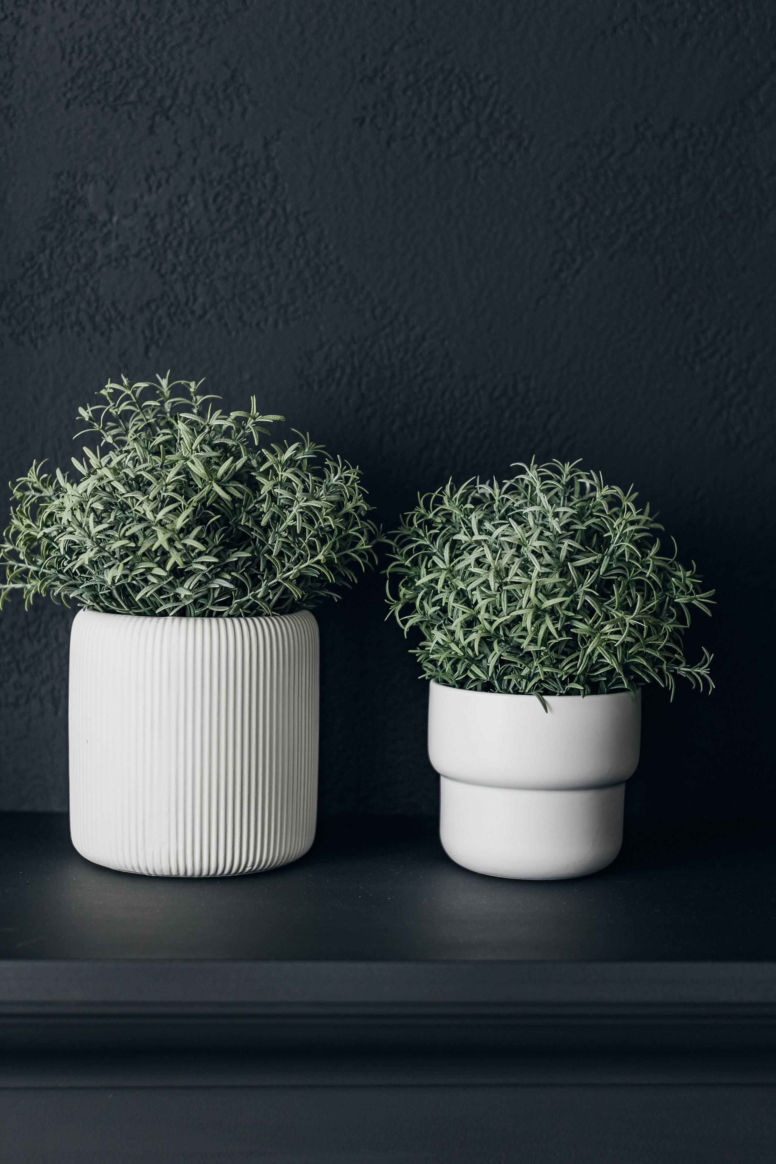 Светлая, просторная фотостудия в Тюмени. Профессиональный фотограф в Тюмени Наталья Кравченко