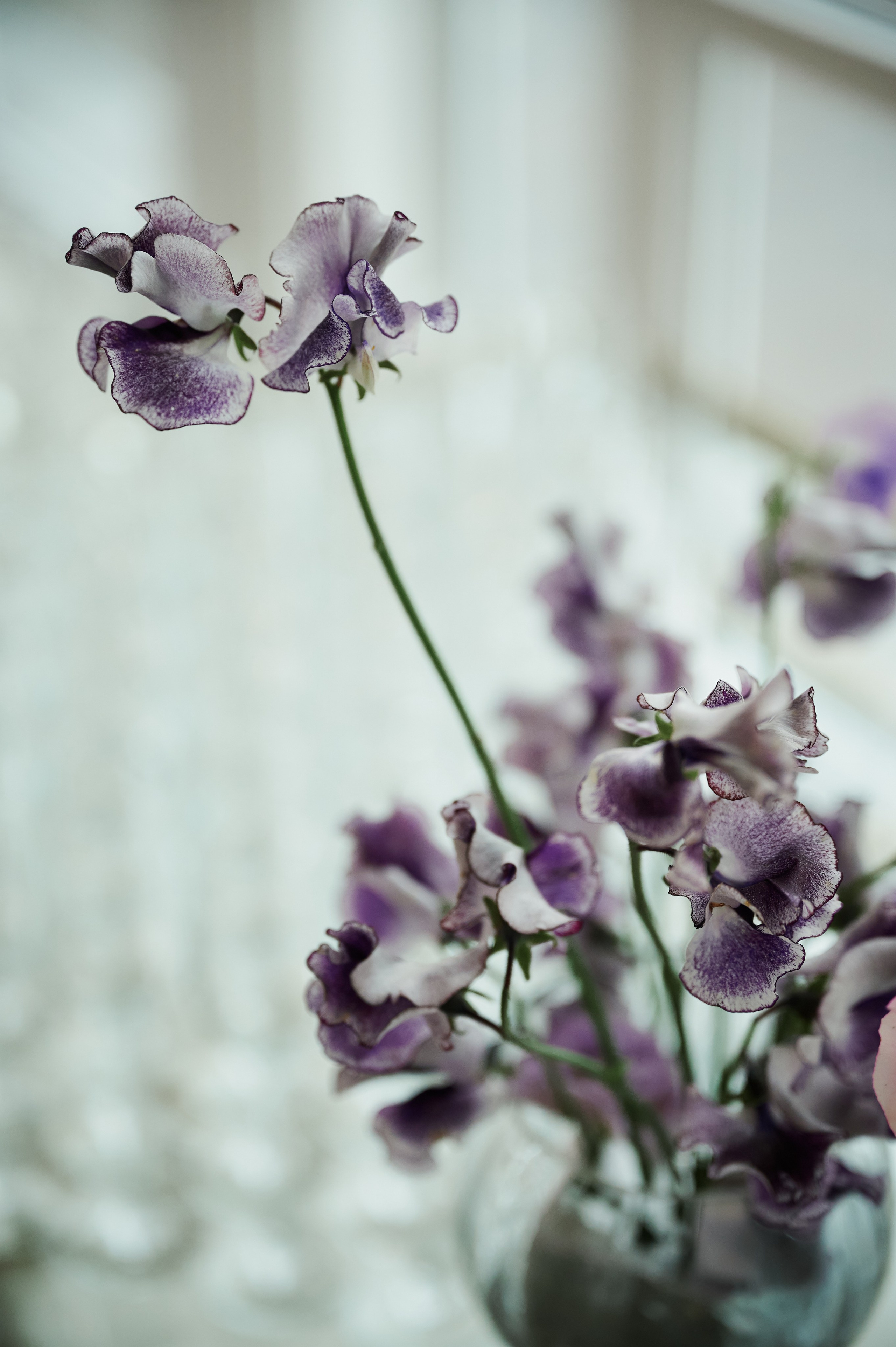 R&M. Свадебный и репортажный фотограф