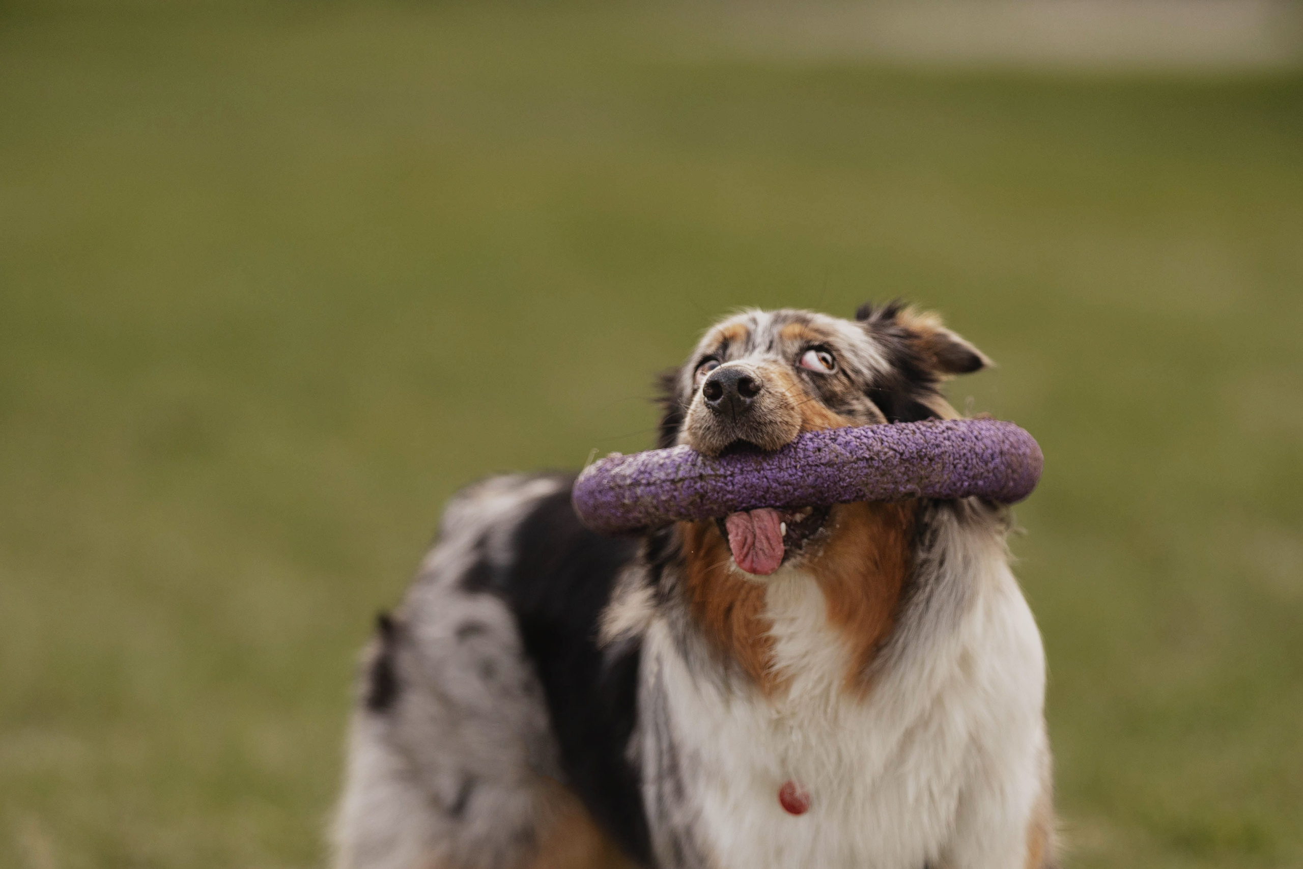 Николай и его девчонки. Kameramotor74