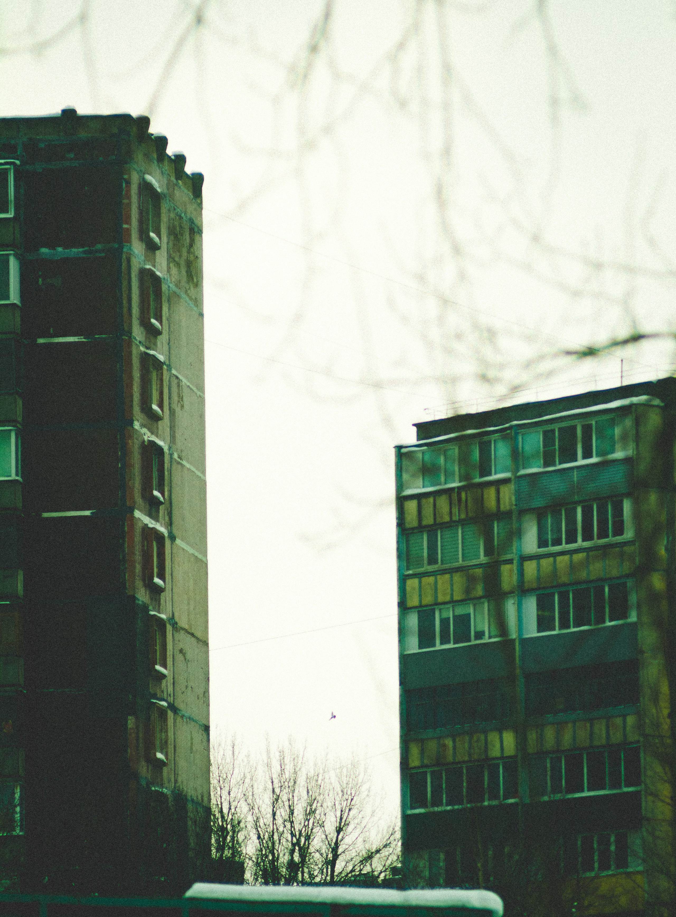 Судостроительный. Den Mirov — Фотограф, Музыкант