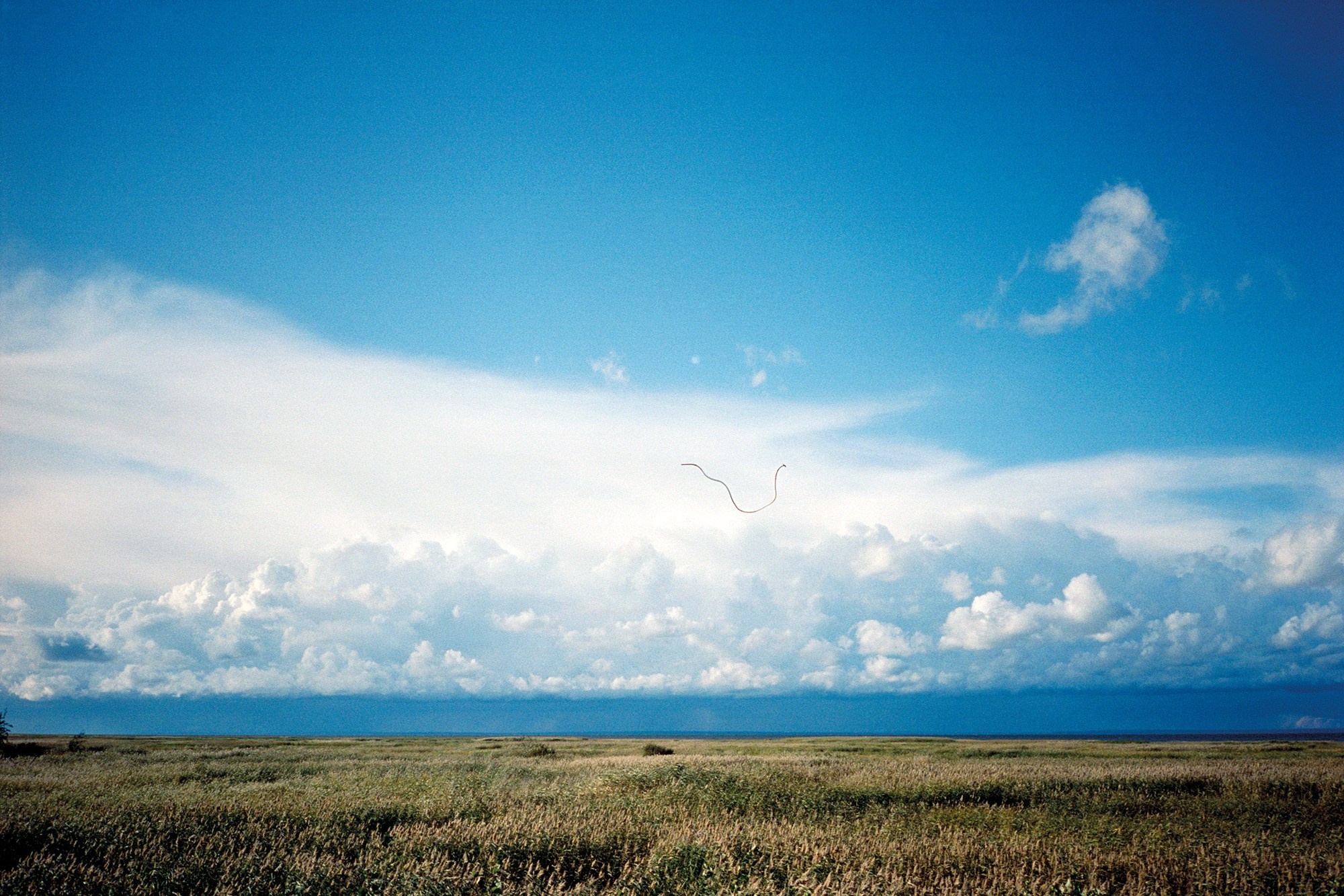 OBJECT PASSPORT. Valery Morozov