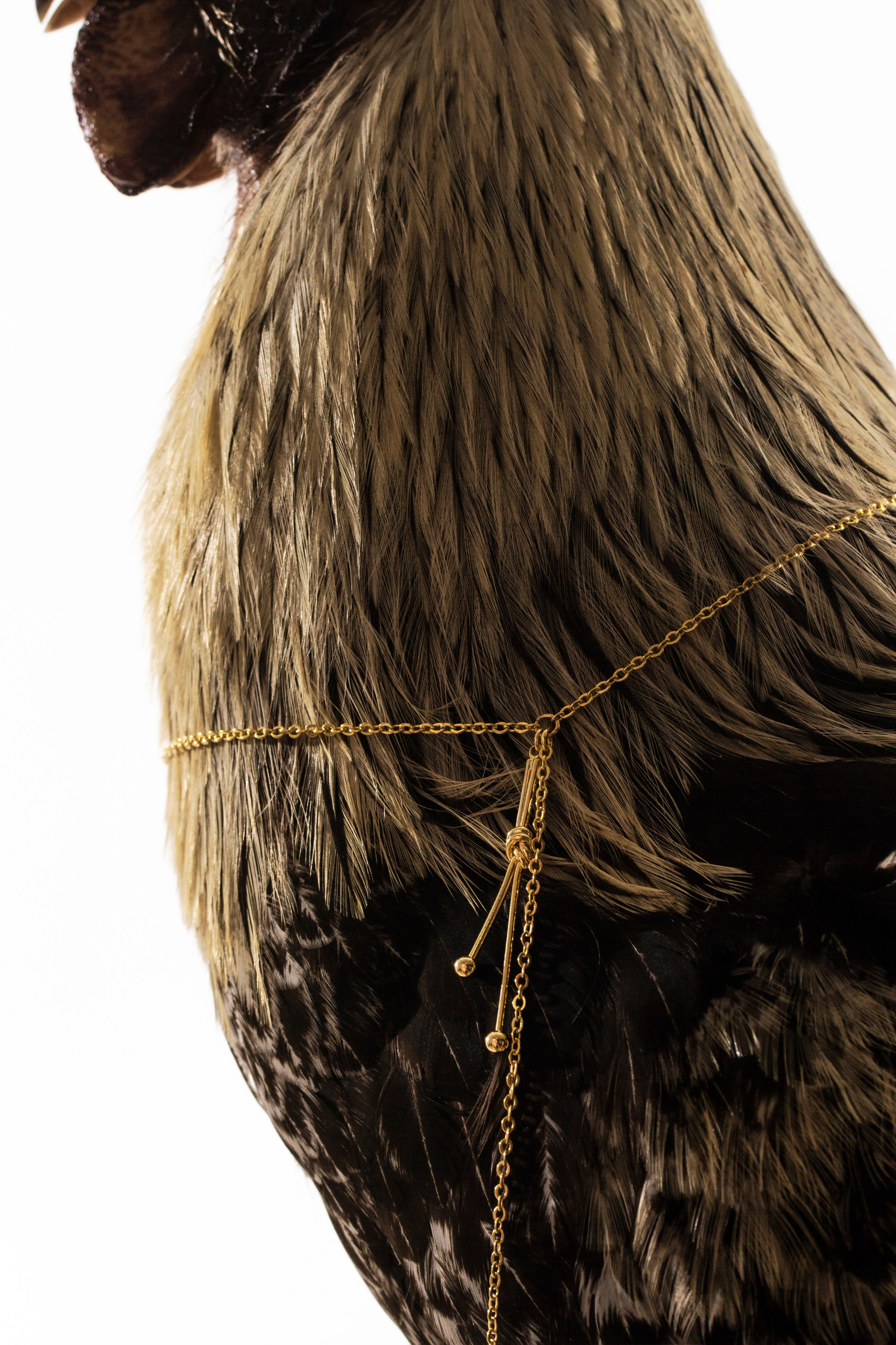 Бижутерия. Концептуальный фотограф Шлыкова Ольга