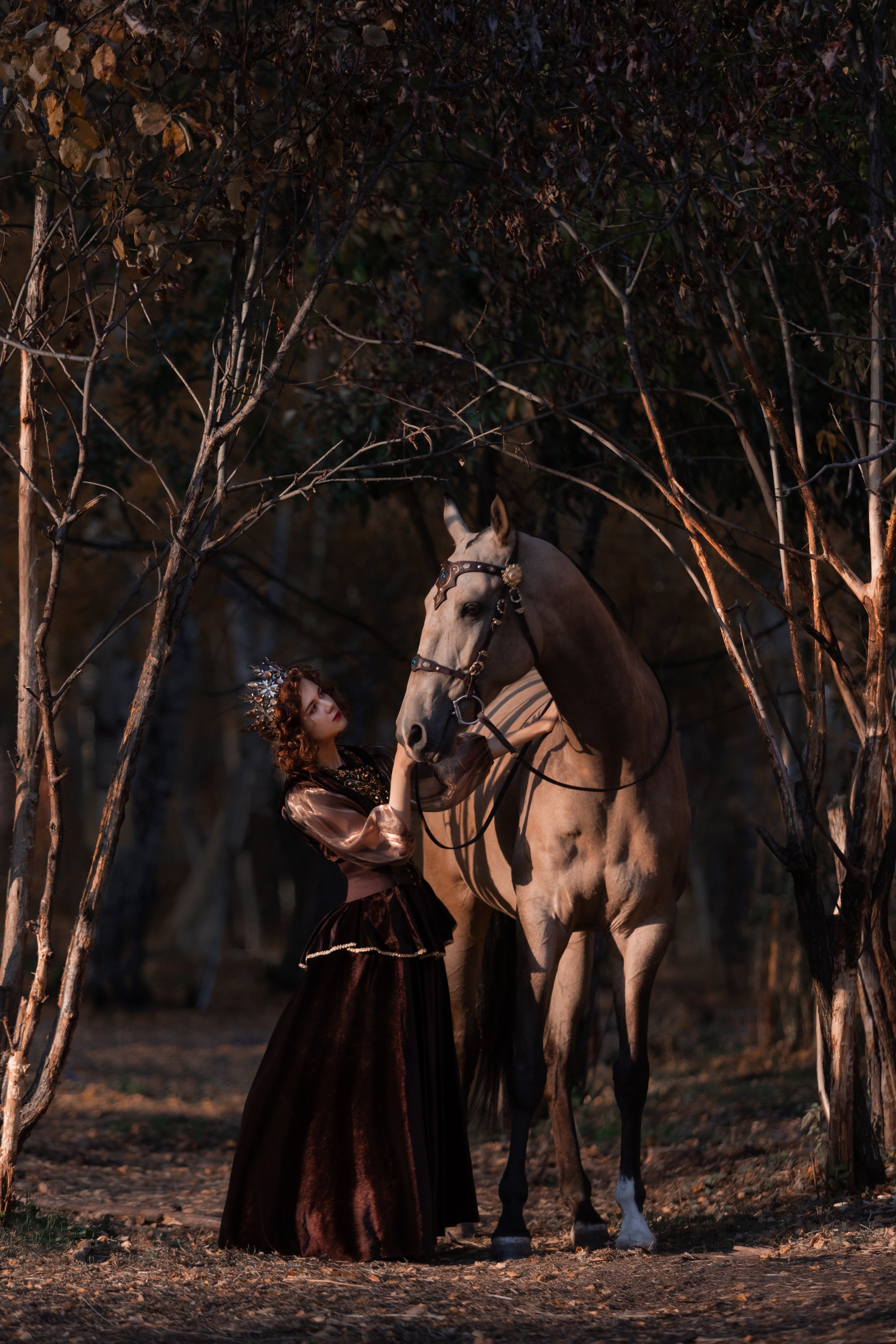 Фотосессии с лошадьми. Главная