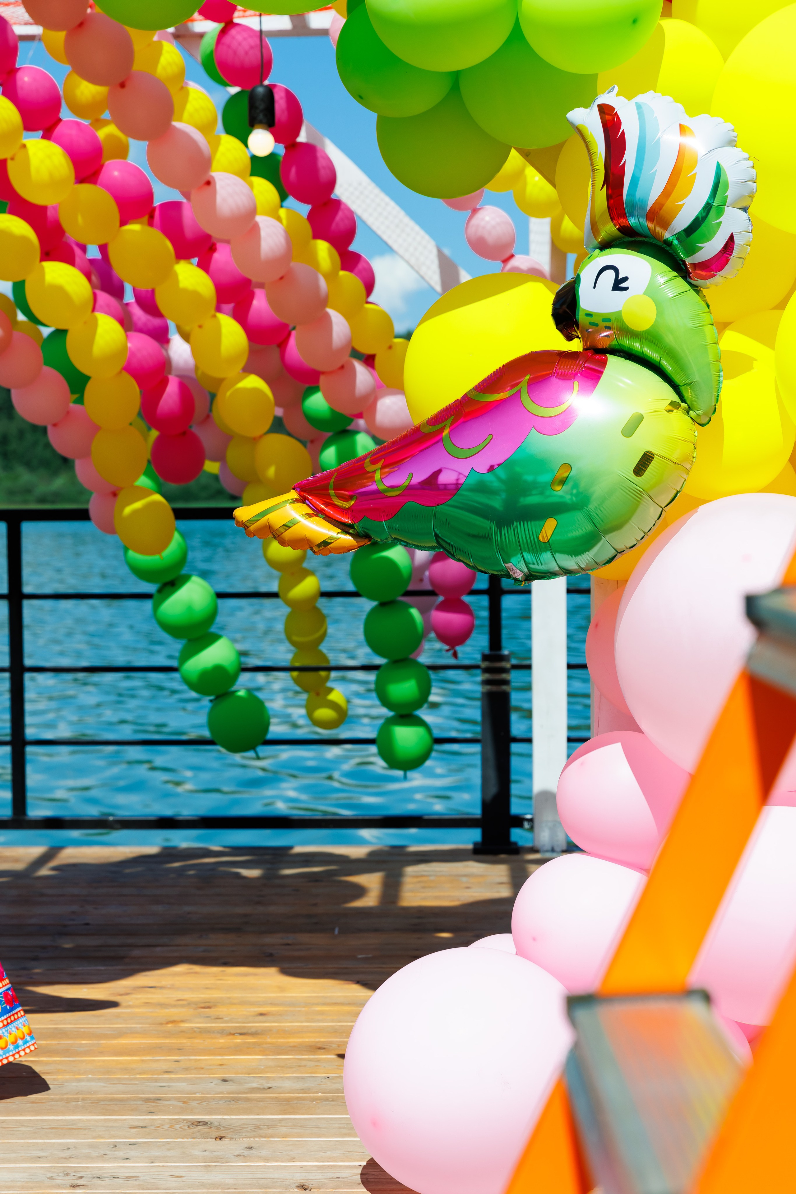 Летняя вечеринка декораторов ШИУ. Фотограф Новосибирск — Наталья Гресь