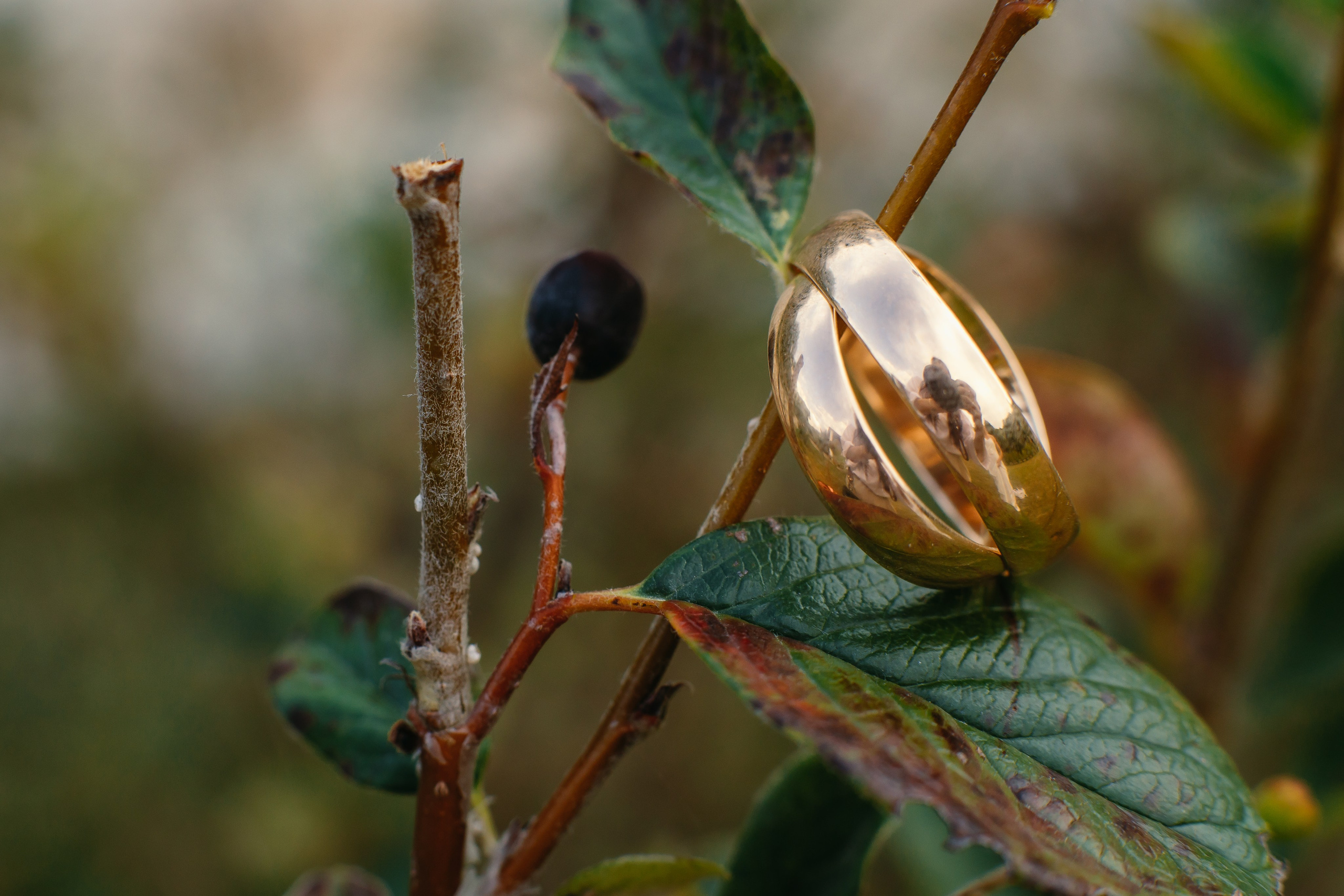 Свадебная прогулка. Фотограф Новороссийск