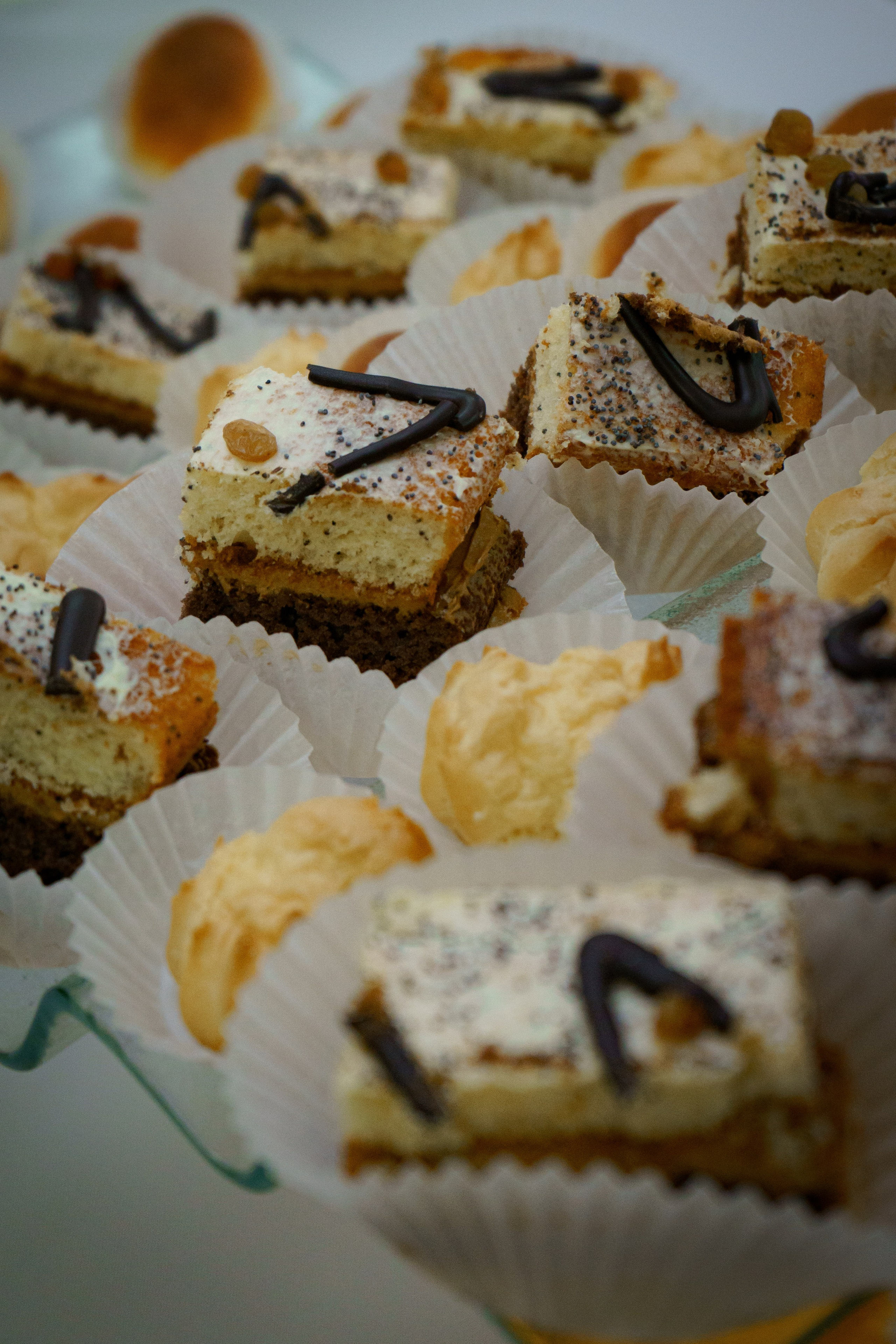 ОБЩЕСТВЕННОЕ ПРИЗНАНИЕ. Photokarish