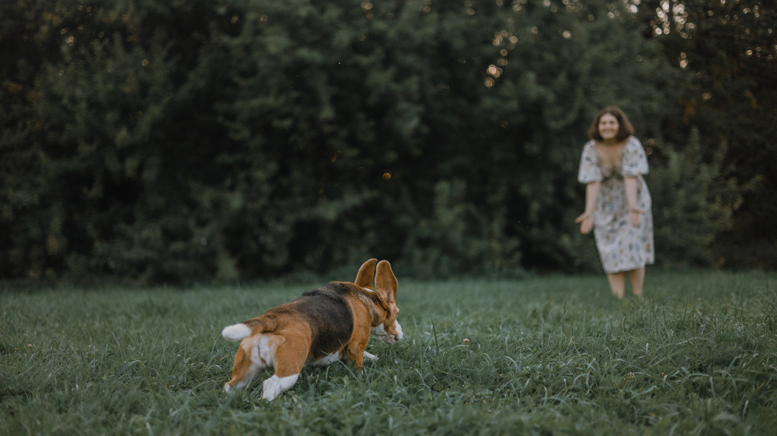 Лиза и Сара. Фотограф-анималист Богданова Полина